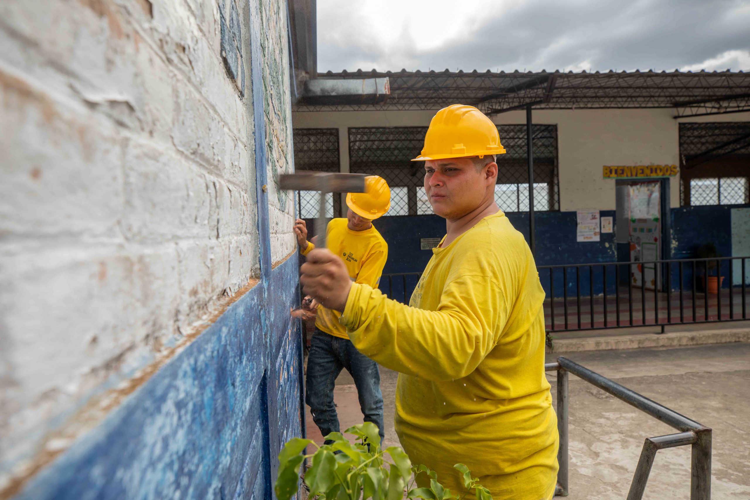 Imagen de la galería