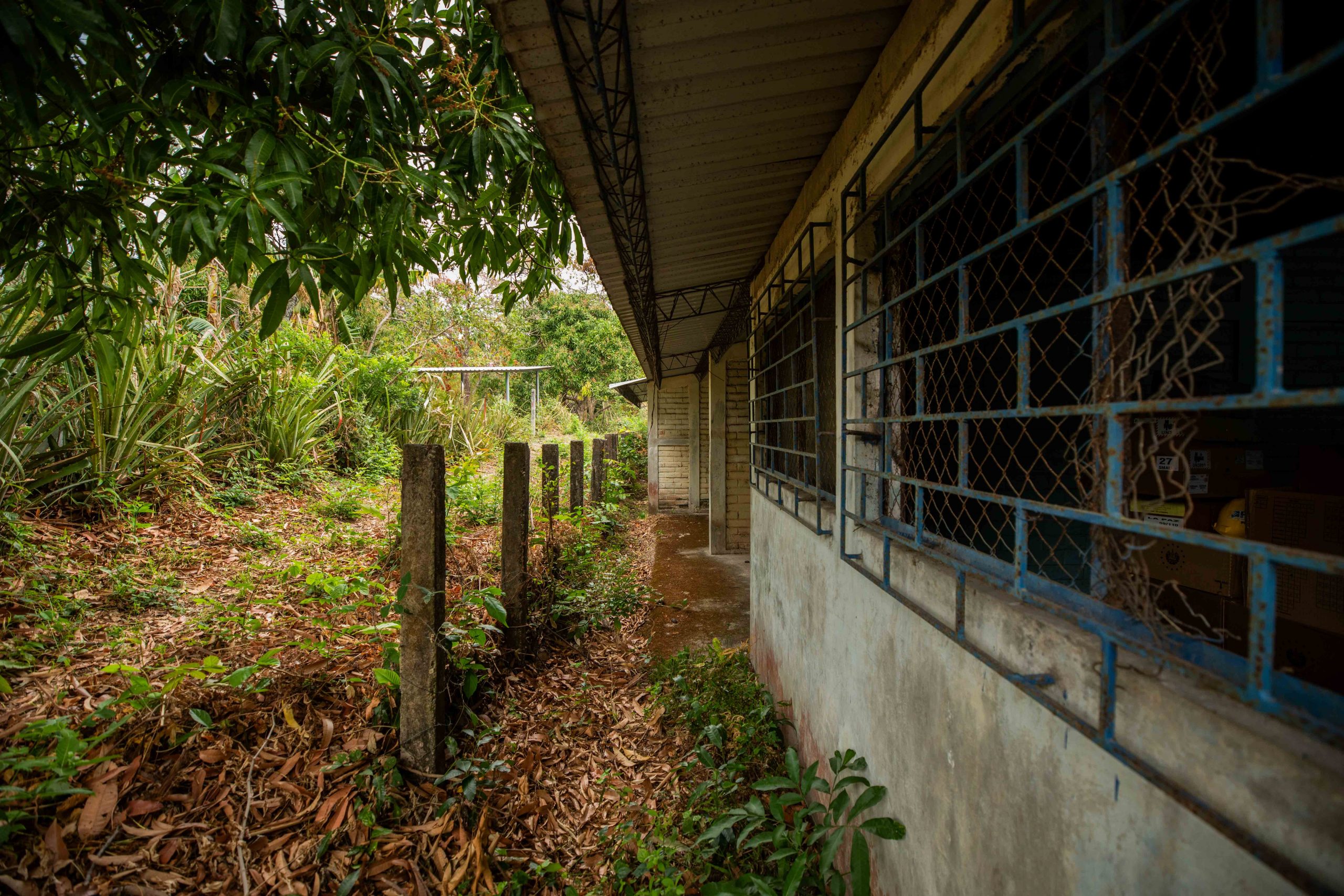 Imagen estado anterior