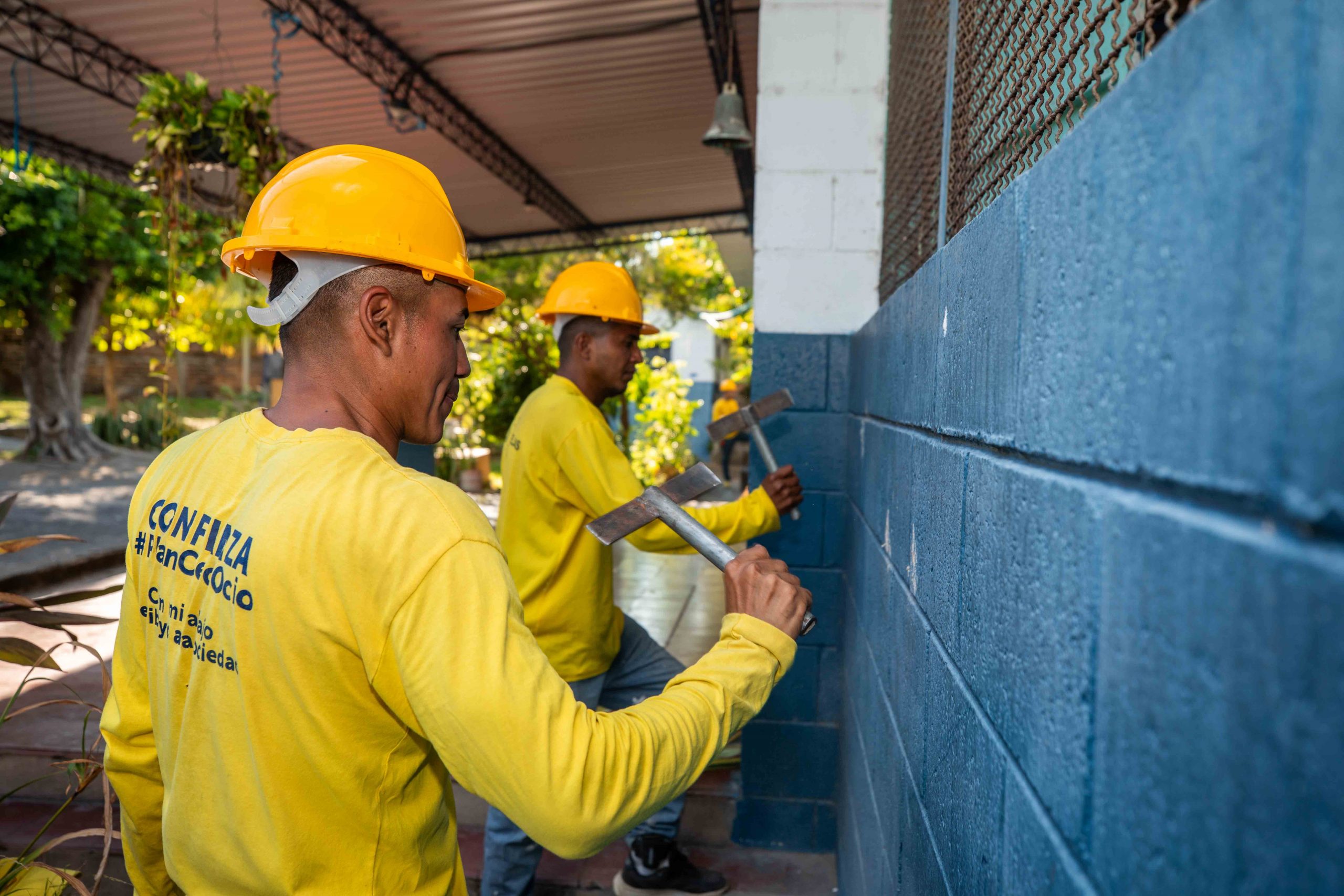 Imagen de la galería