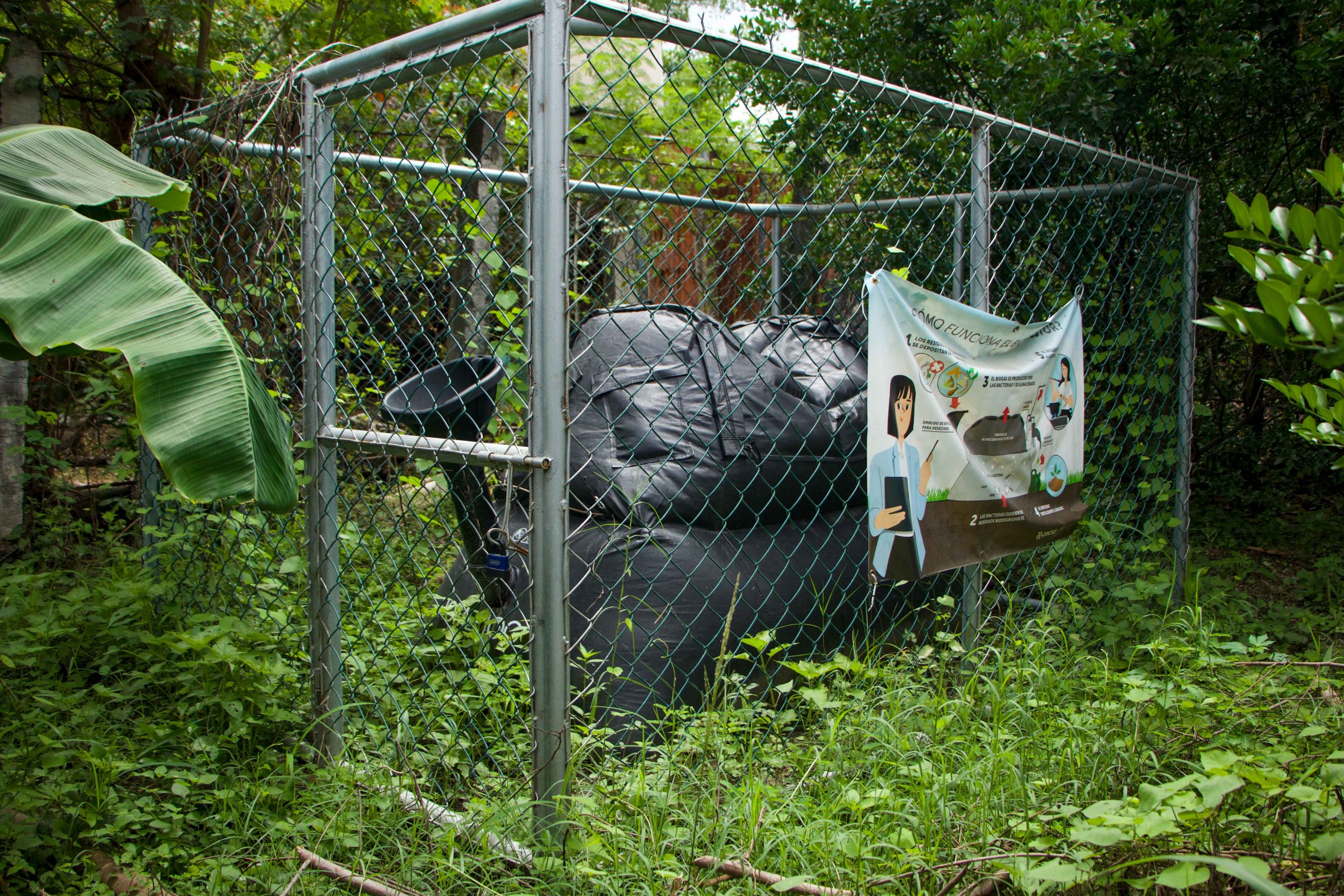 Imagen estado anterior