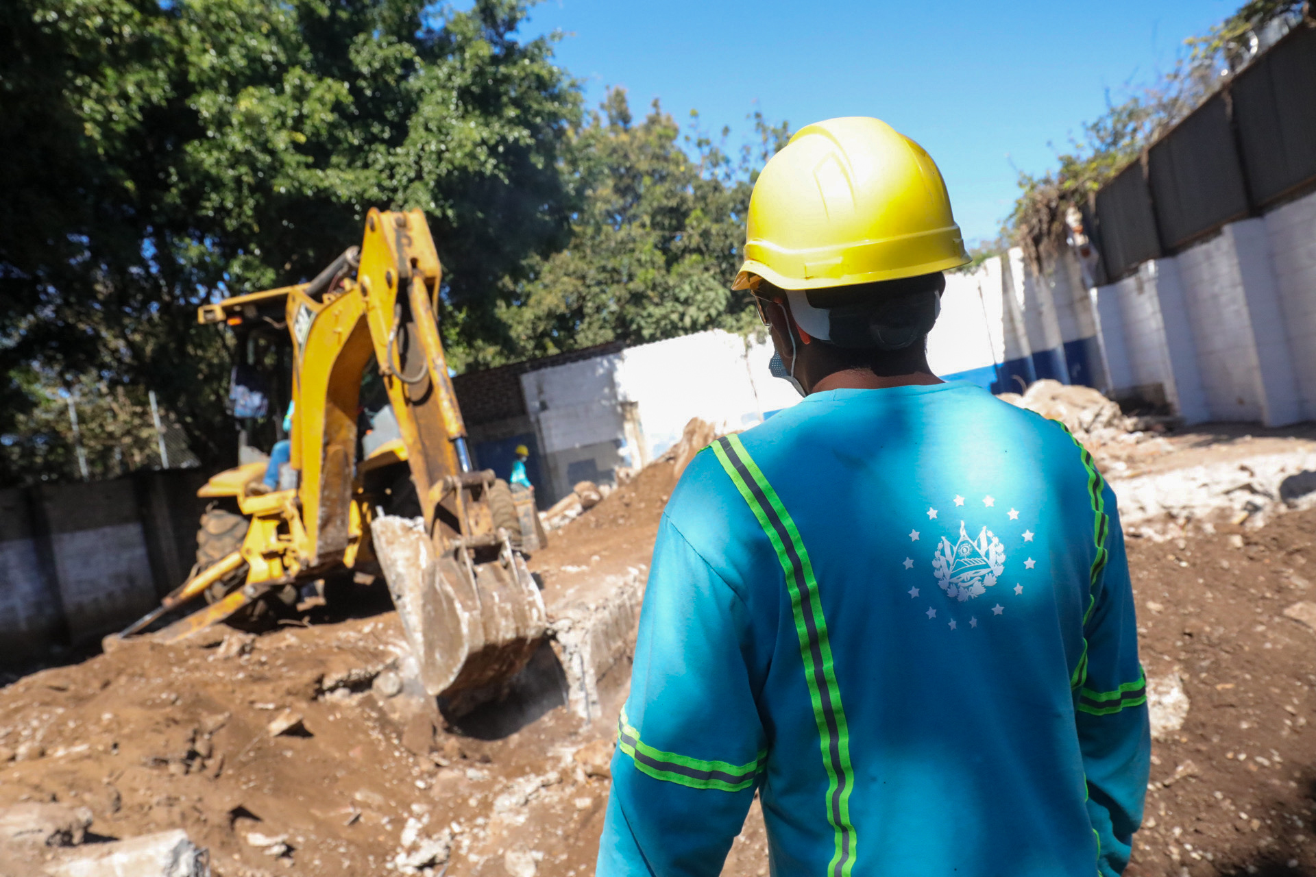 Imagen de la galería