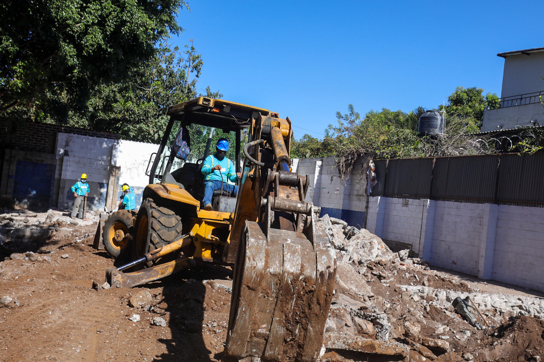 Imagen de la galería