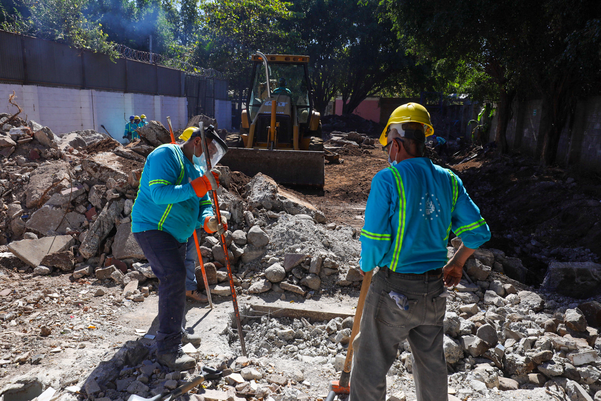 Imagen de la galería