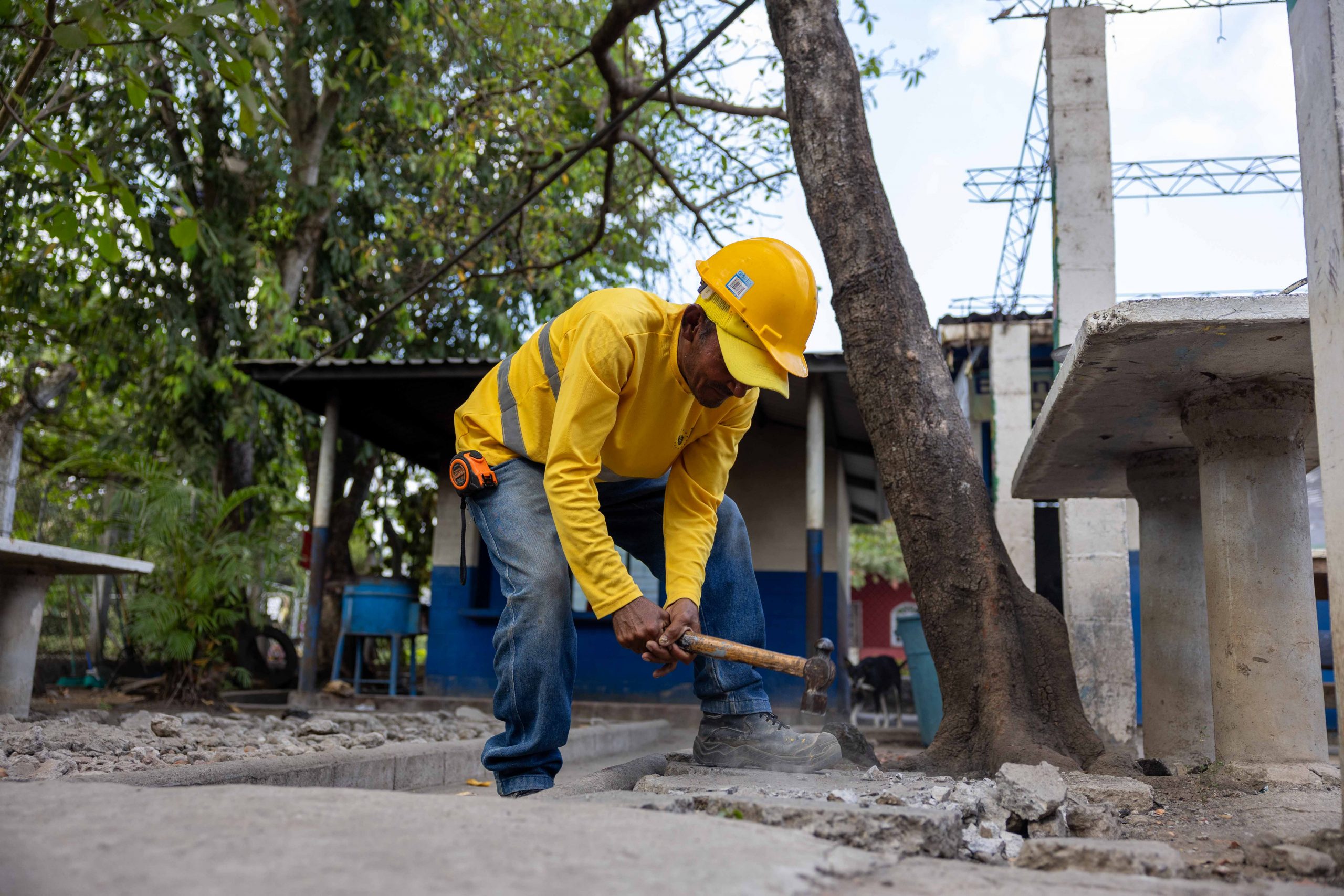 Imagen de la galería