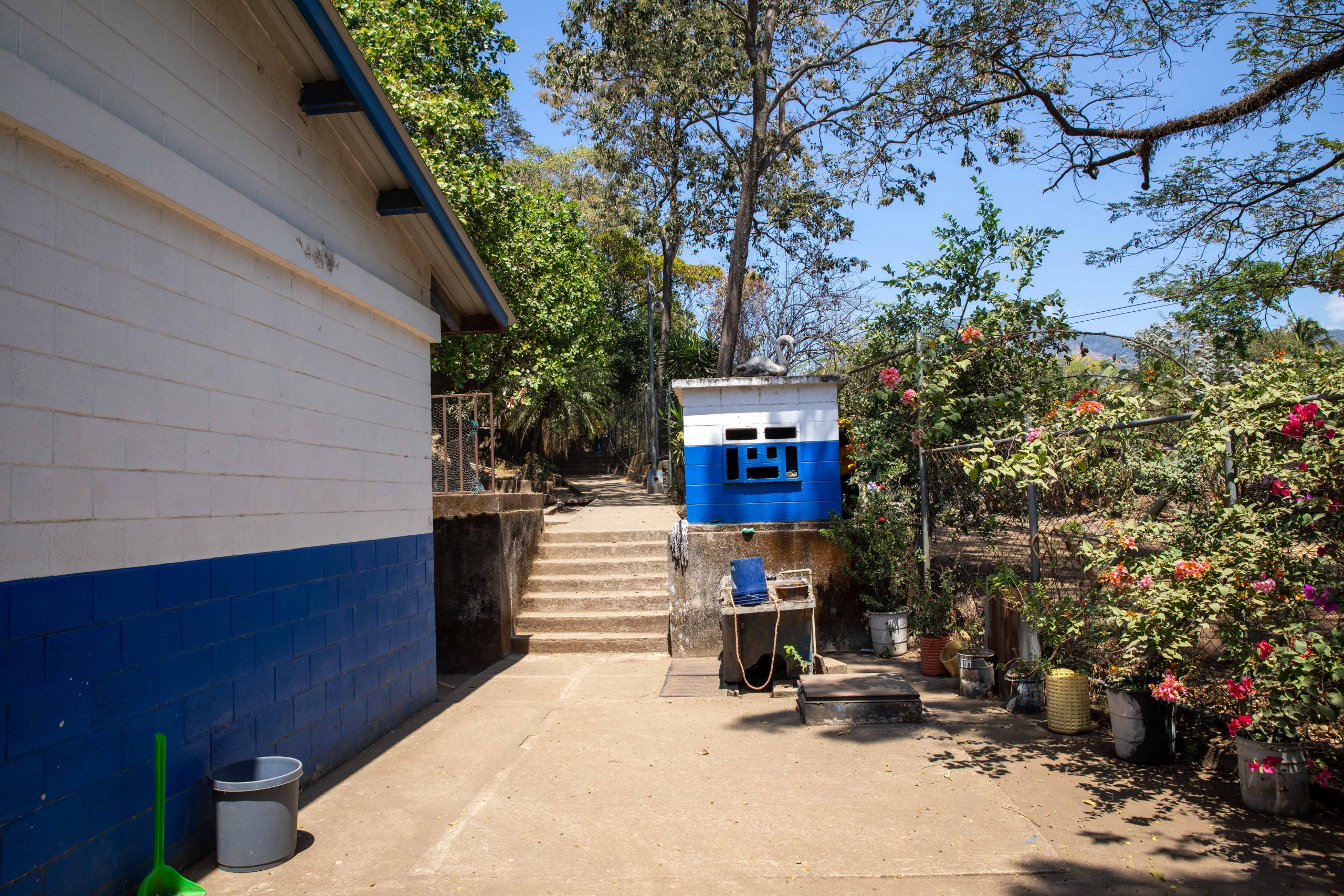 Imagen estado anterior