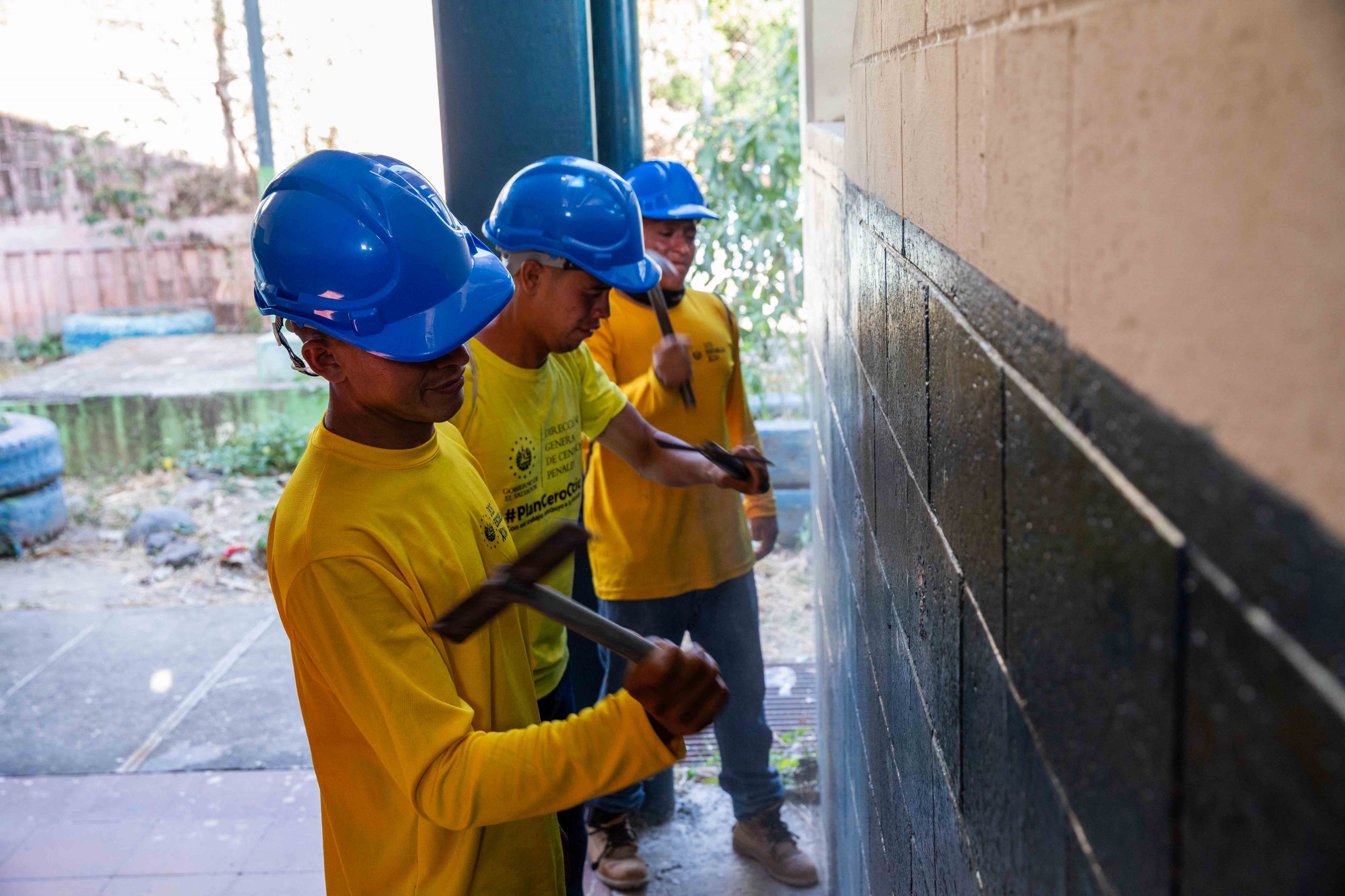 Imagen de la galería