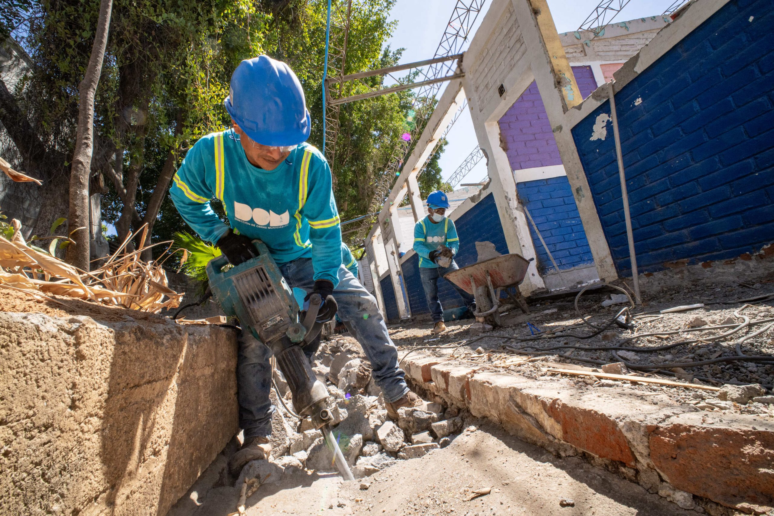 Imagen de la galería