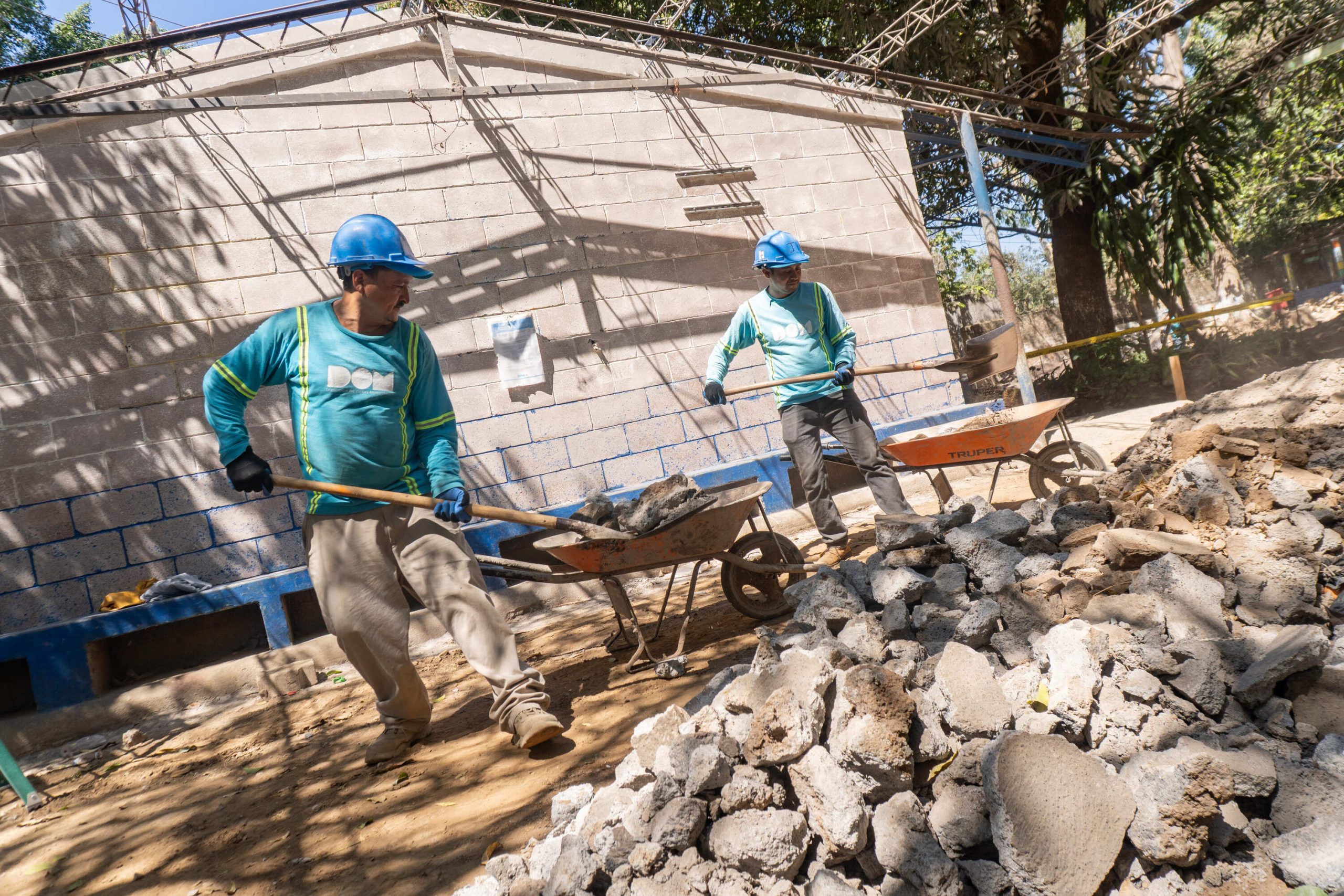 Imagen de la galería