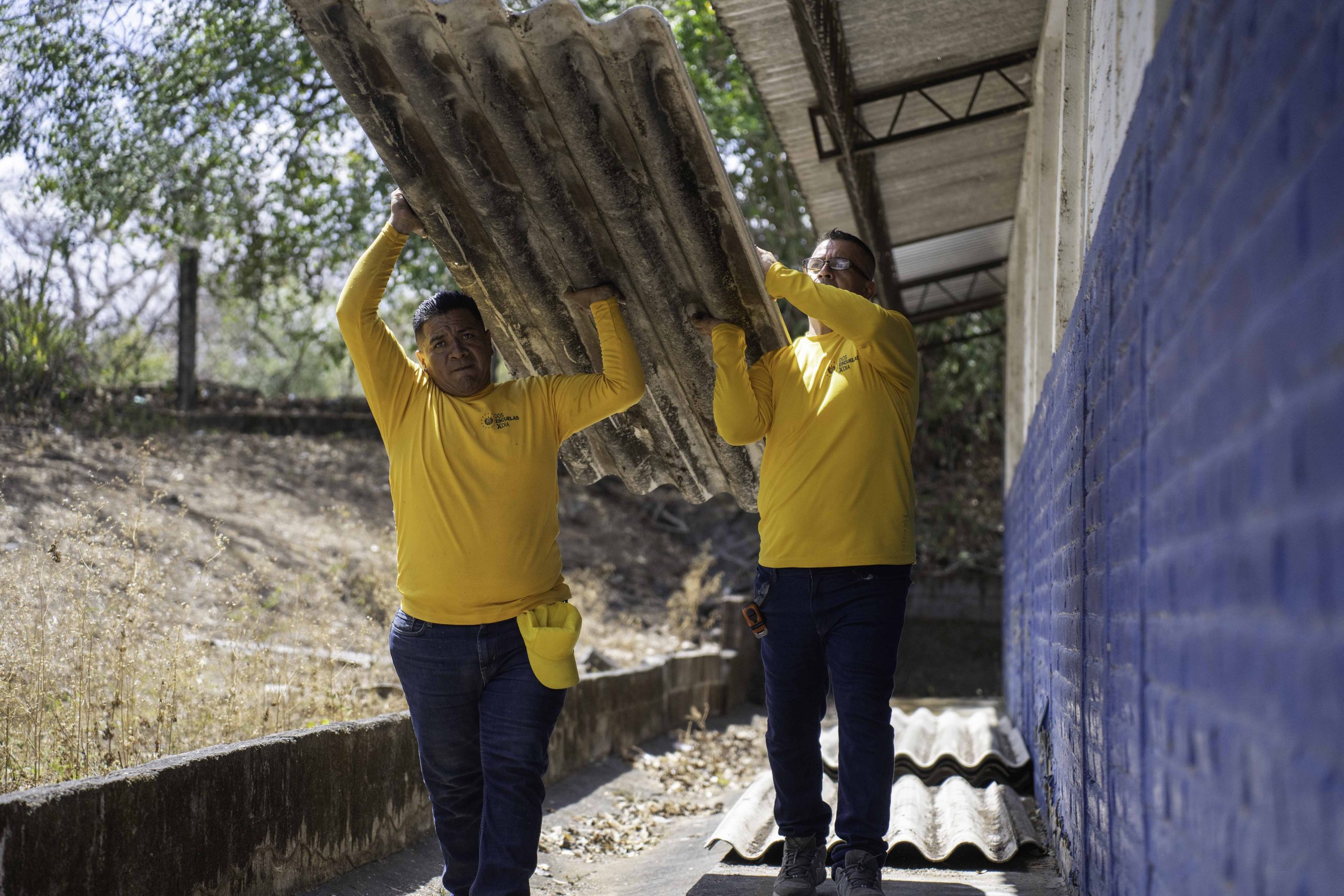 Imagen de la galería