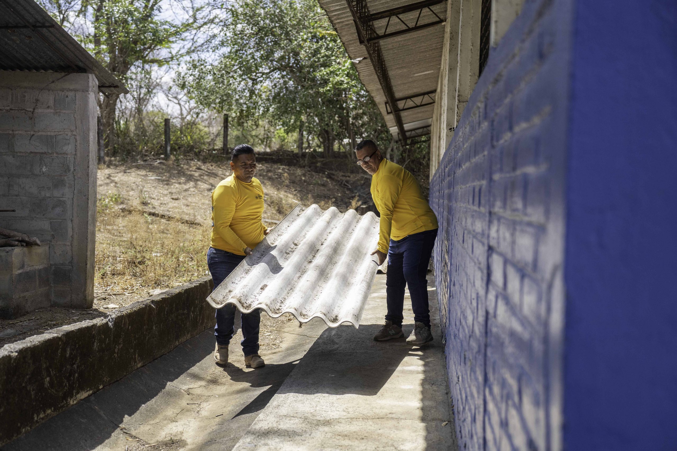 Imagen de la galería