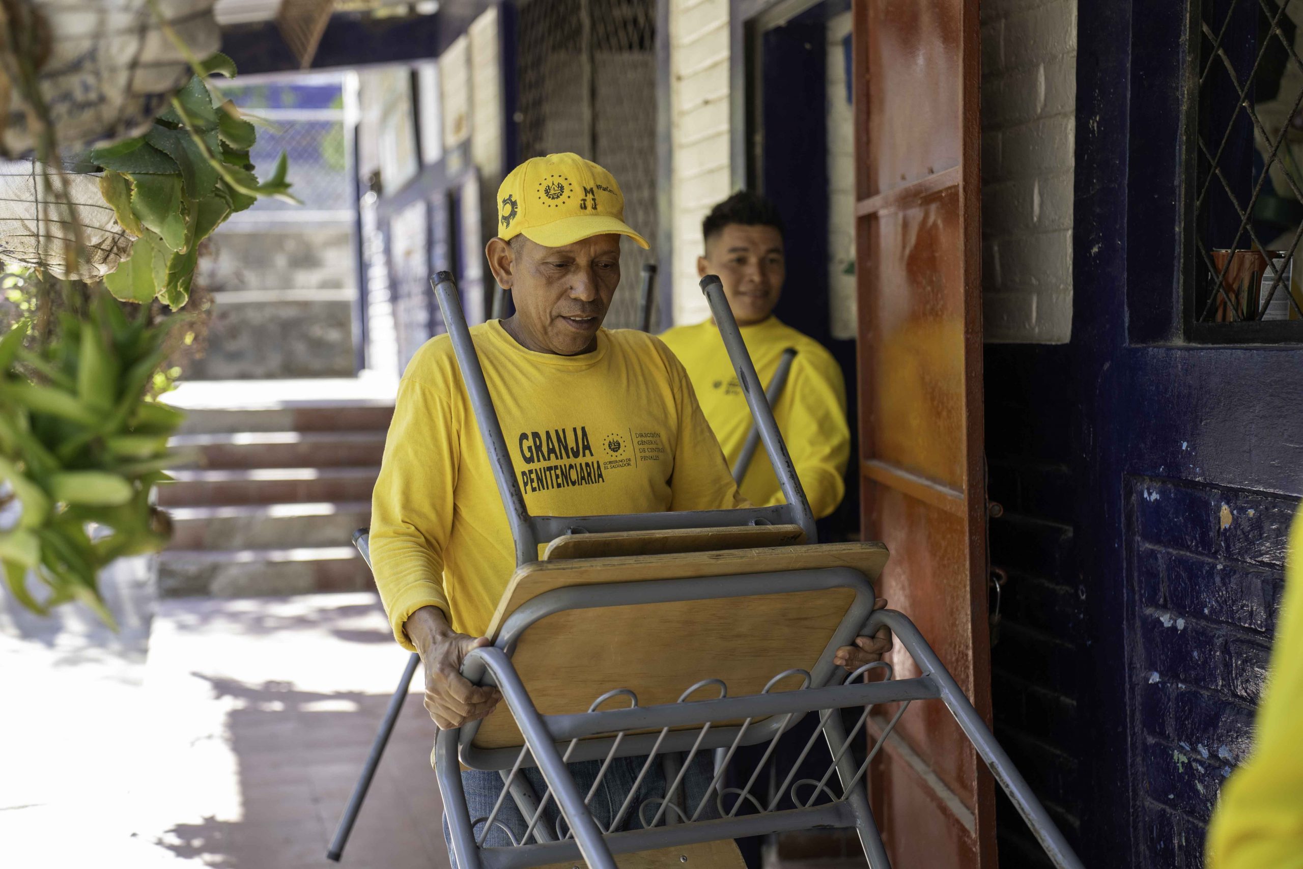 Imagen de la galería