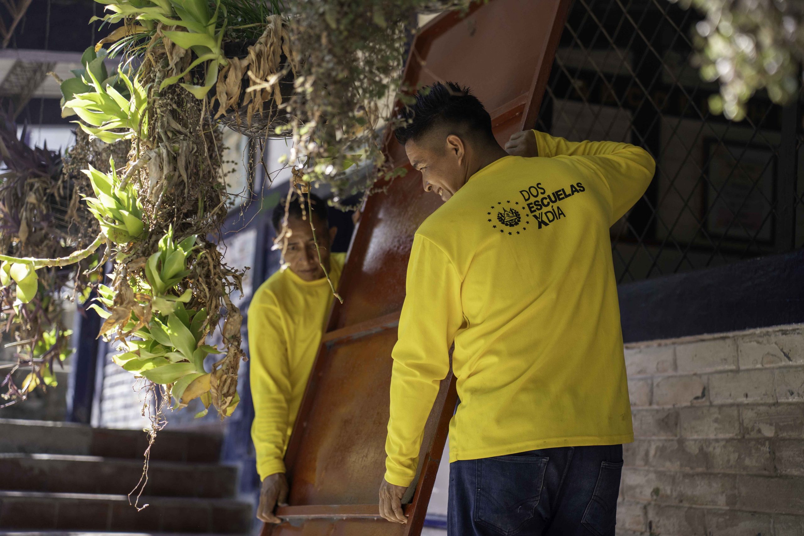 Imagen de la galería