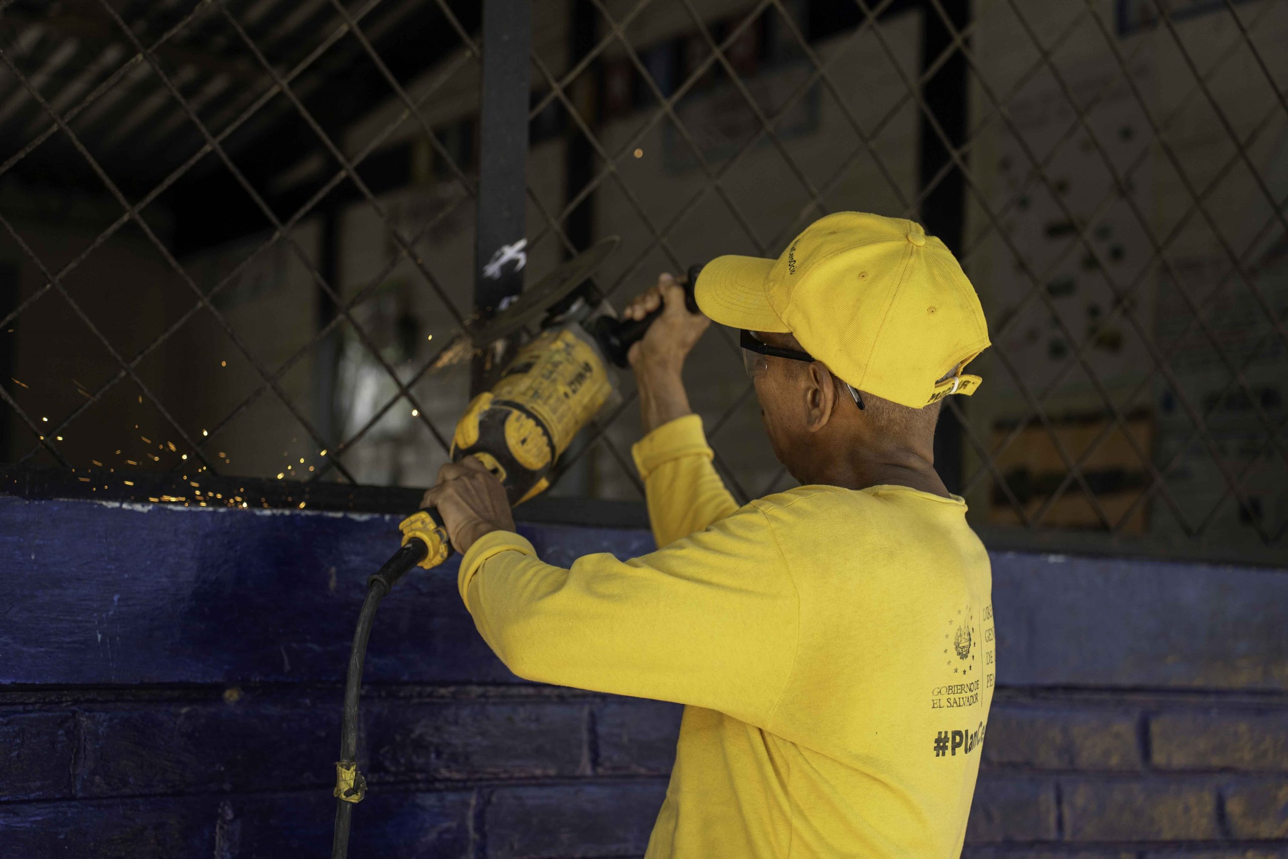 Imagen de la galería