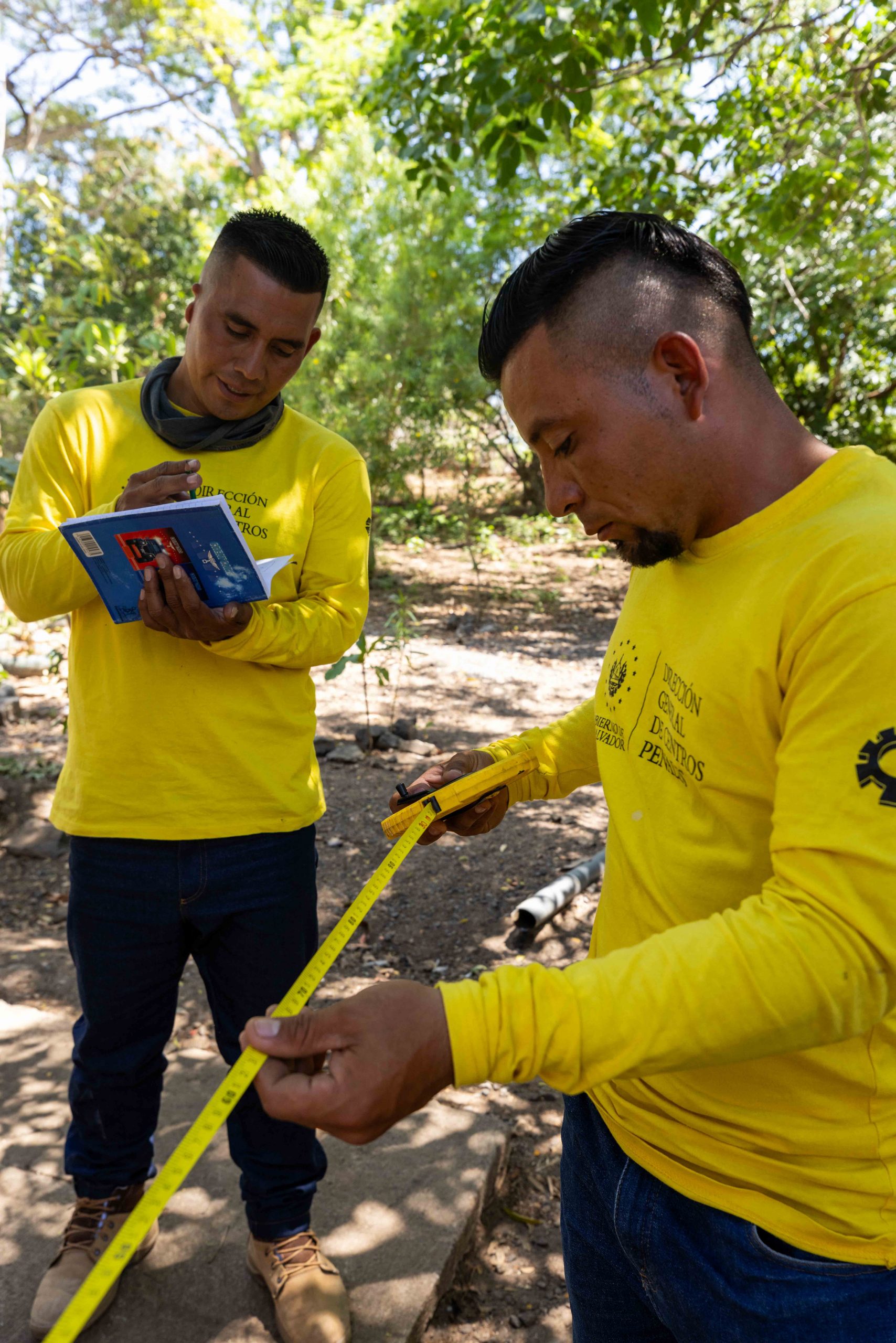 Imagen de la galería