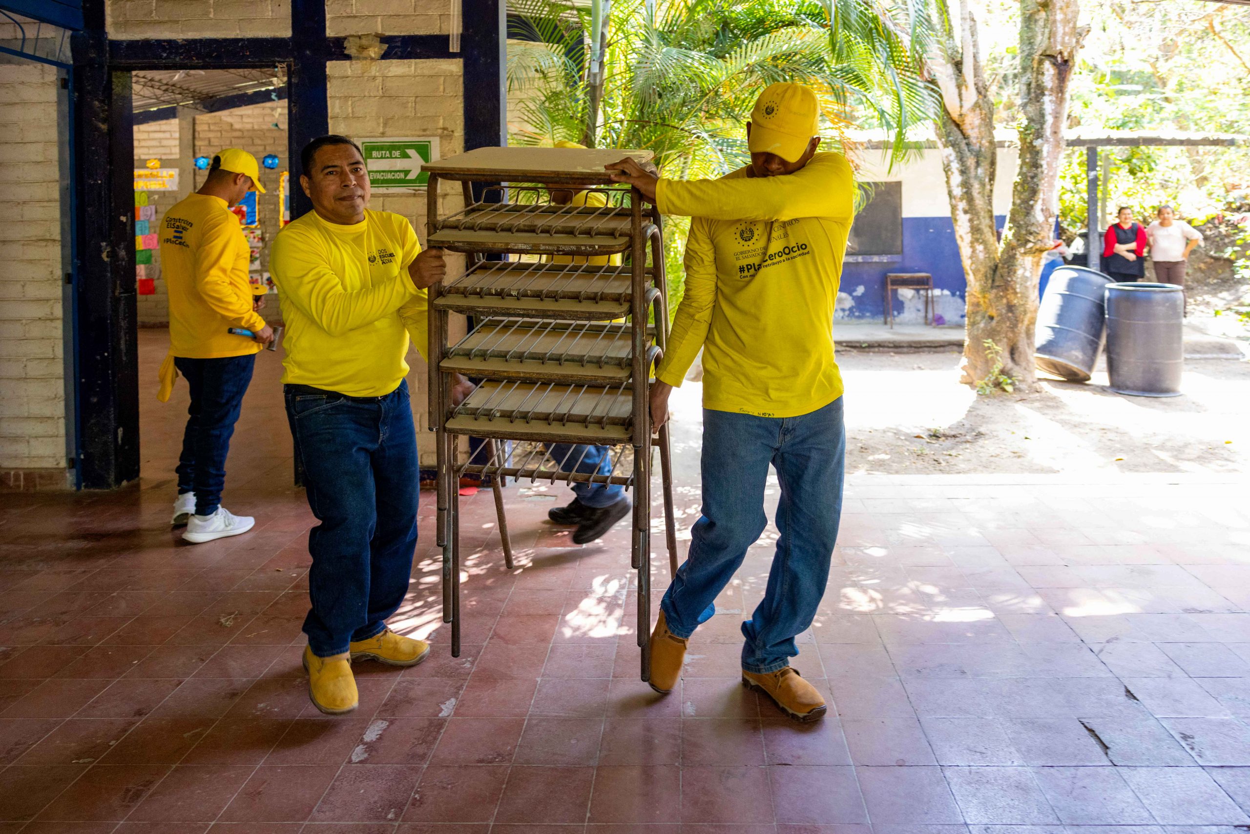 Imagen de la galería