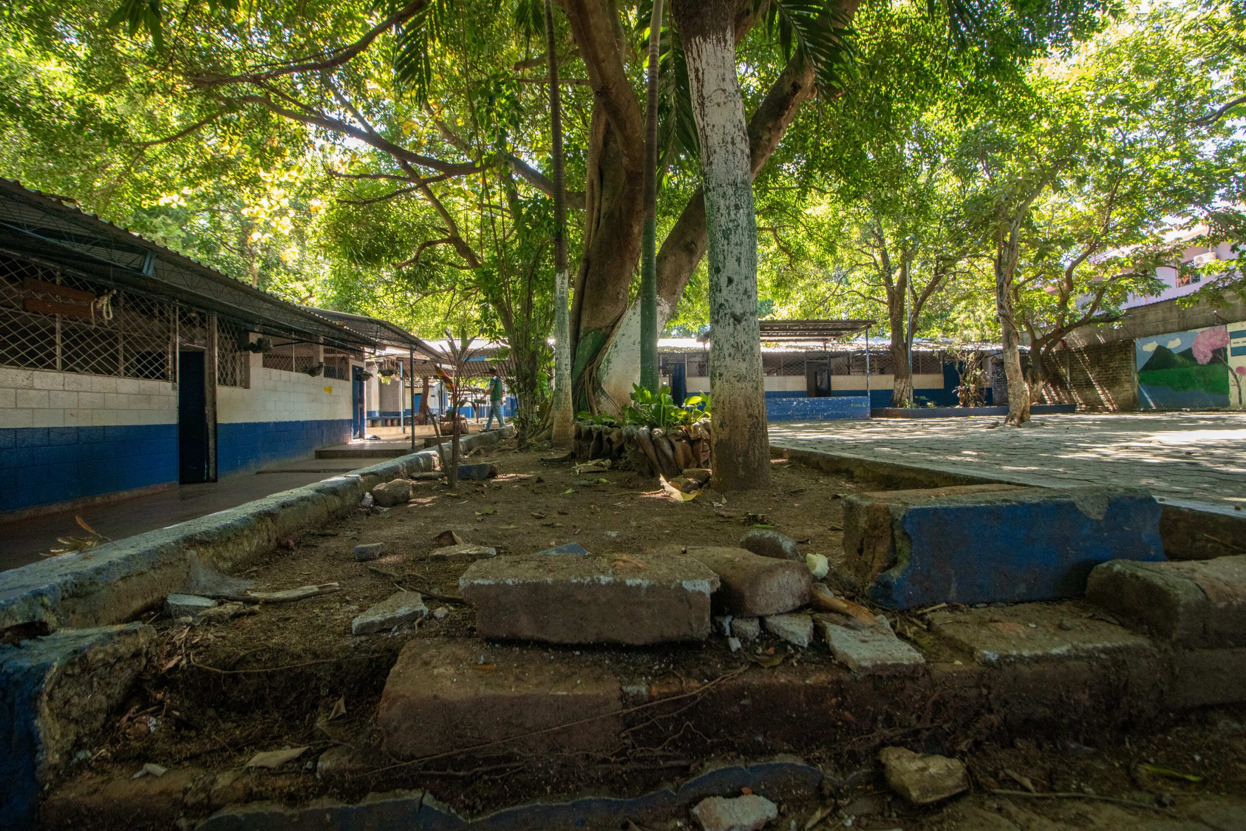 Imagen estado anterior