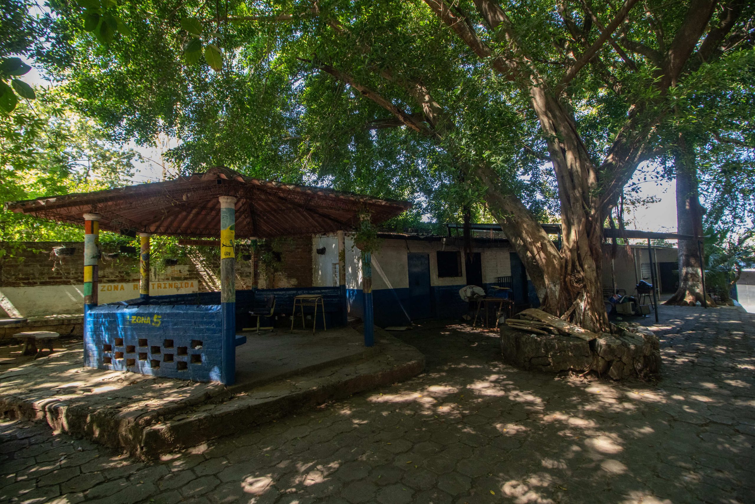 Imagen estado anterior