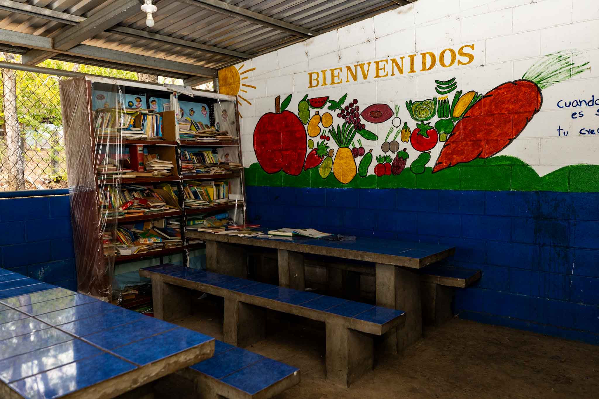 Imagen estado anterior