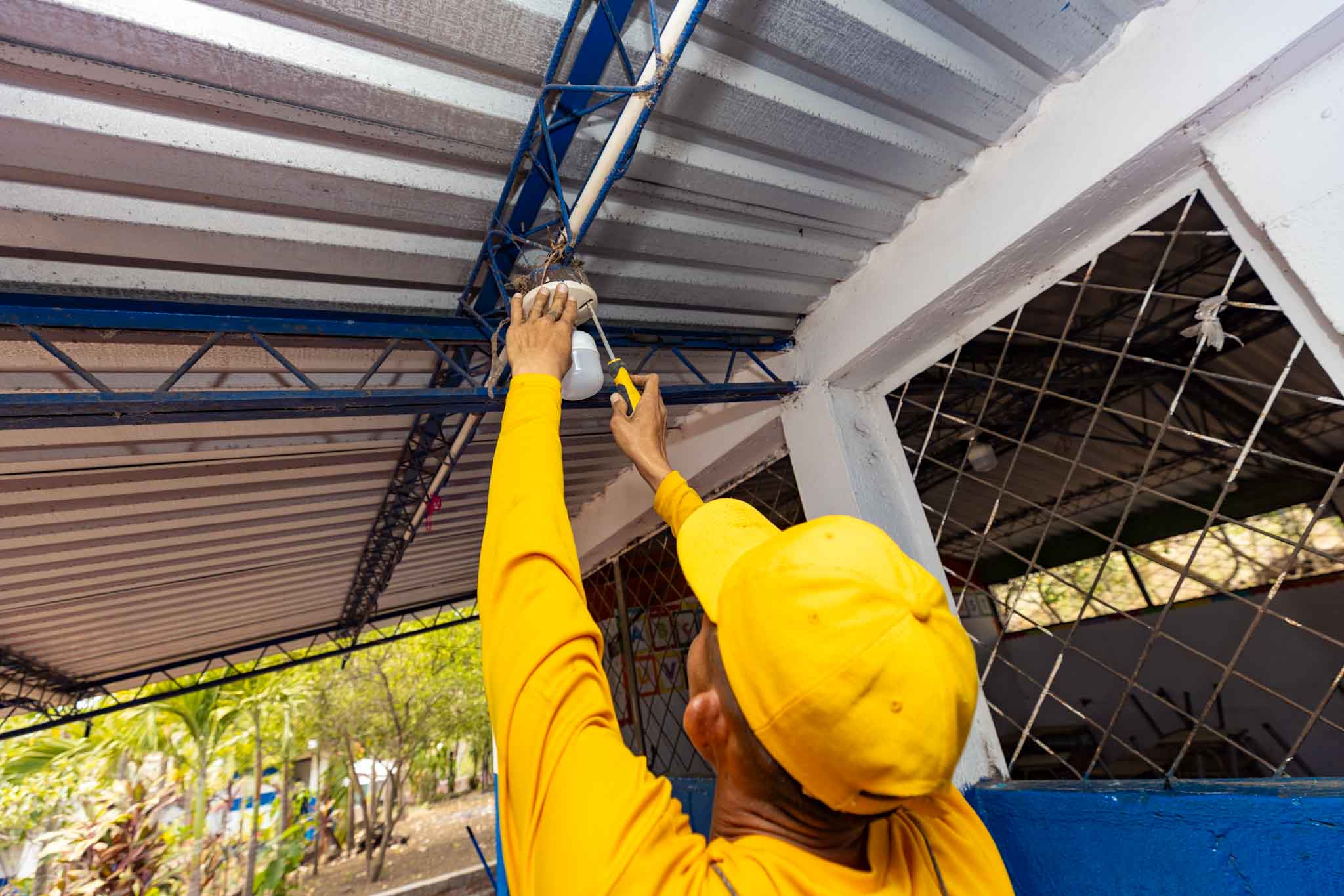 Imagen de la galería