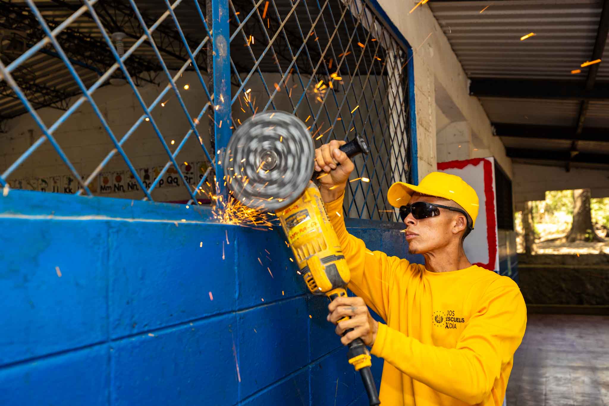 Imagen de la galería