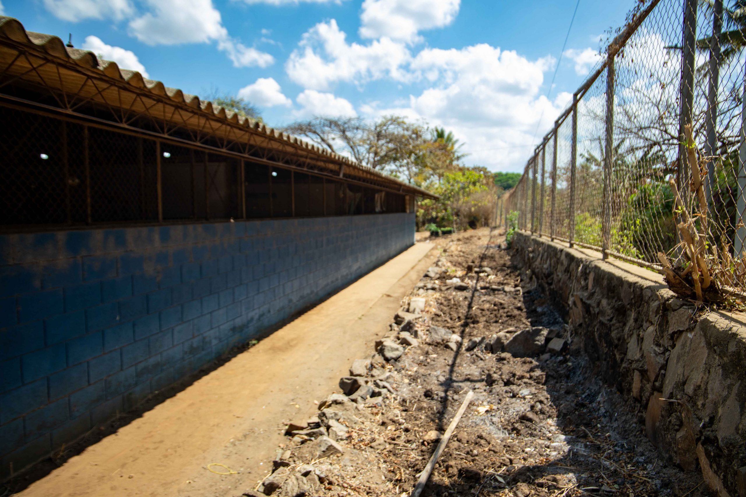 Imagen estado anterior