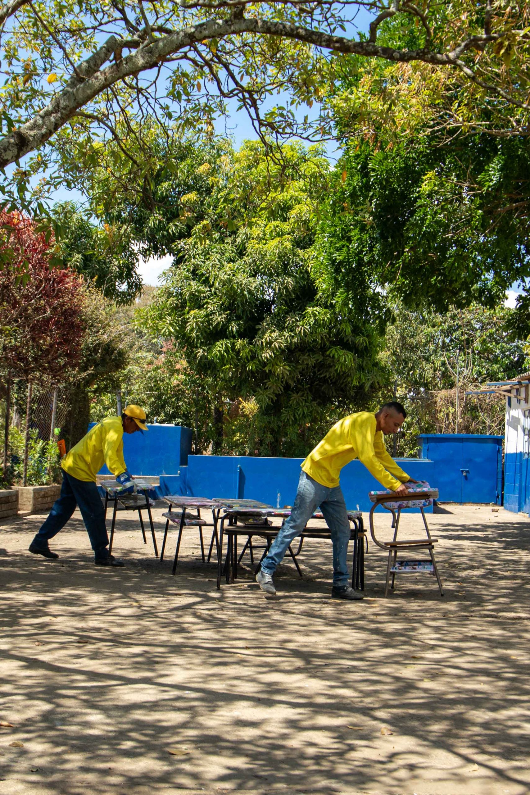 Imagen de la galería