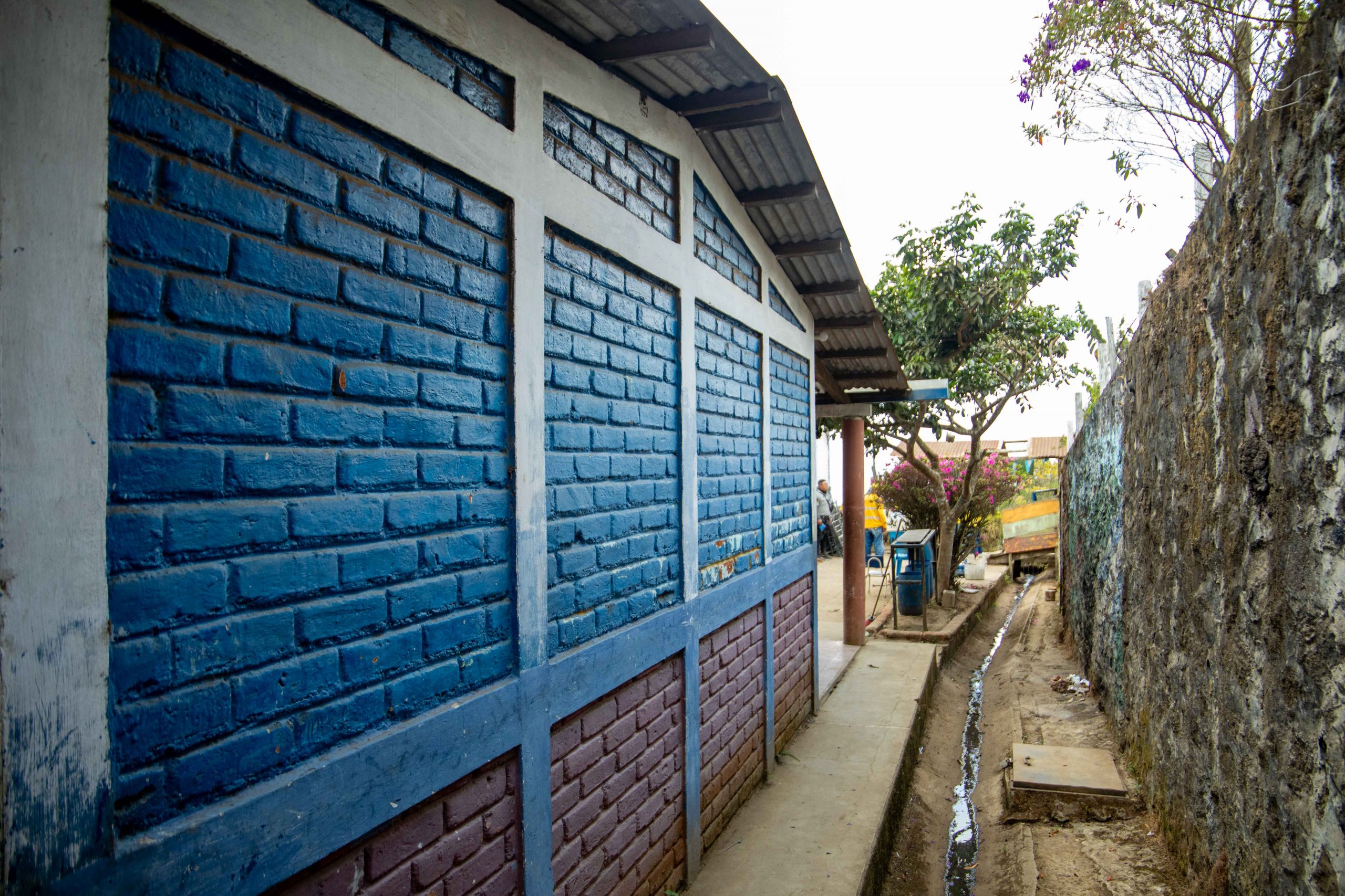 Imagen estado anterior