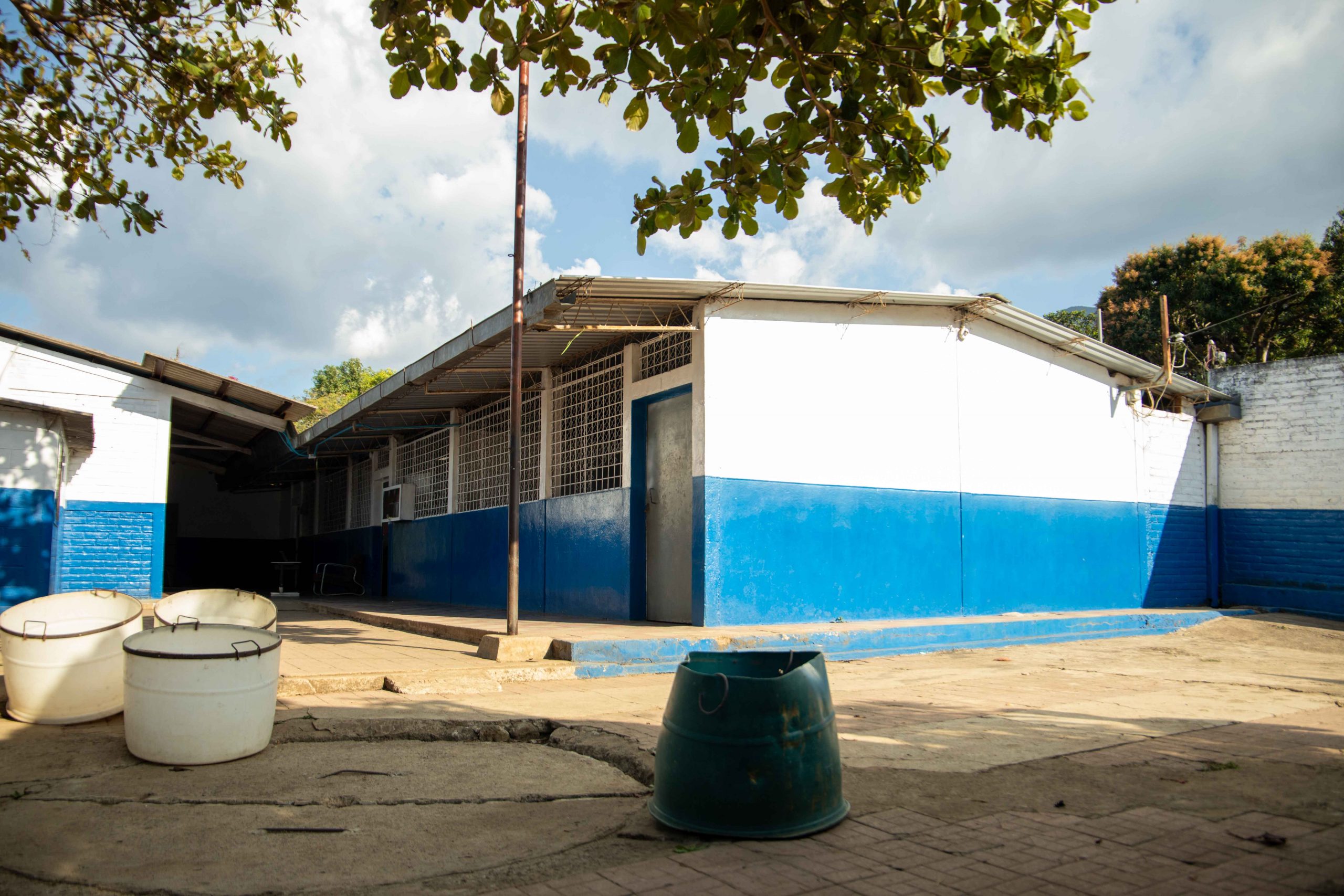 Imagen estado anterior