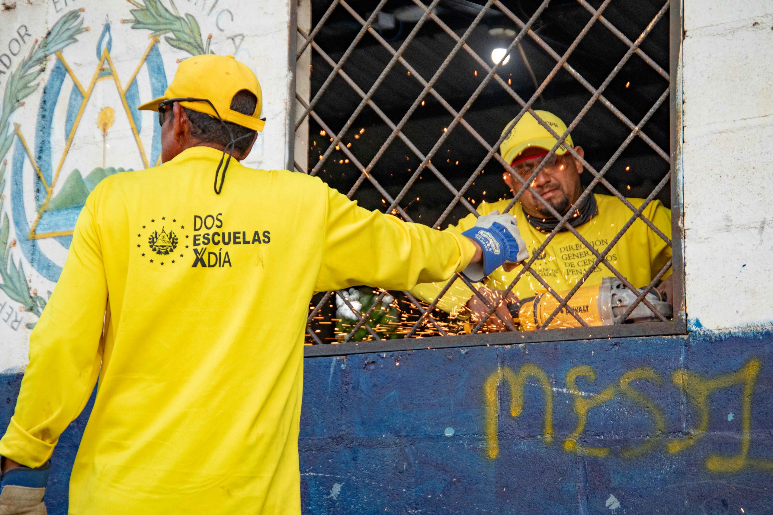 Imagen de la galería