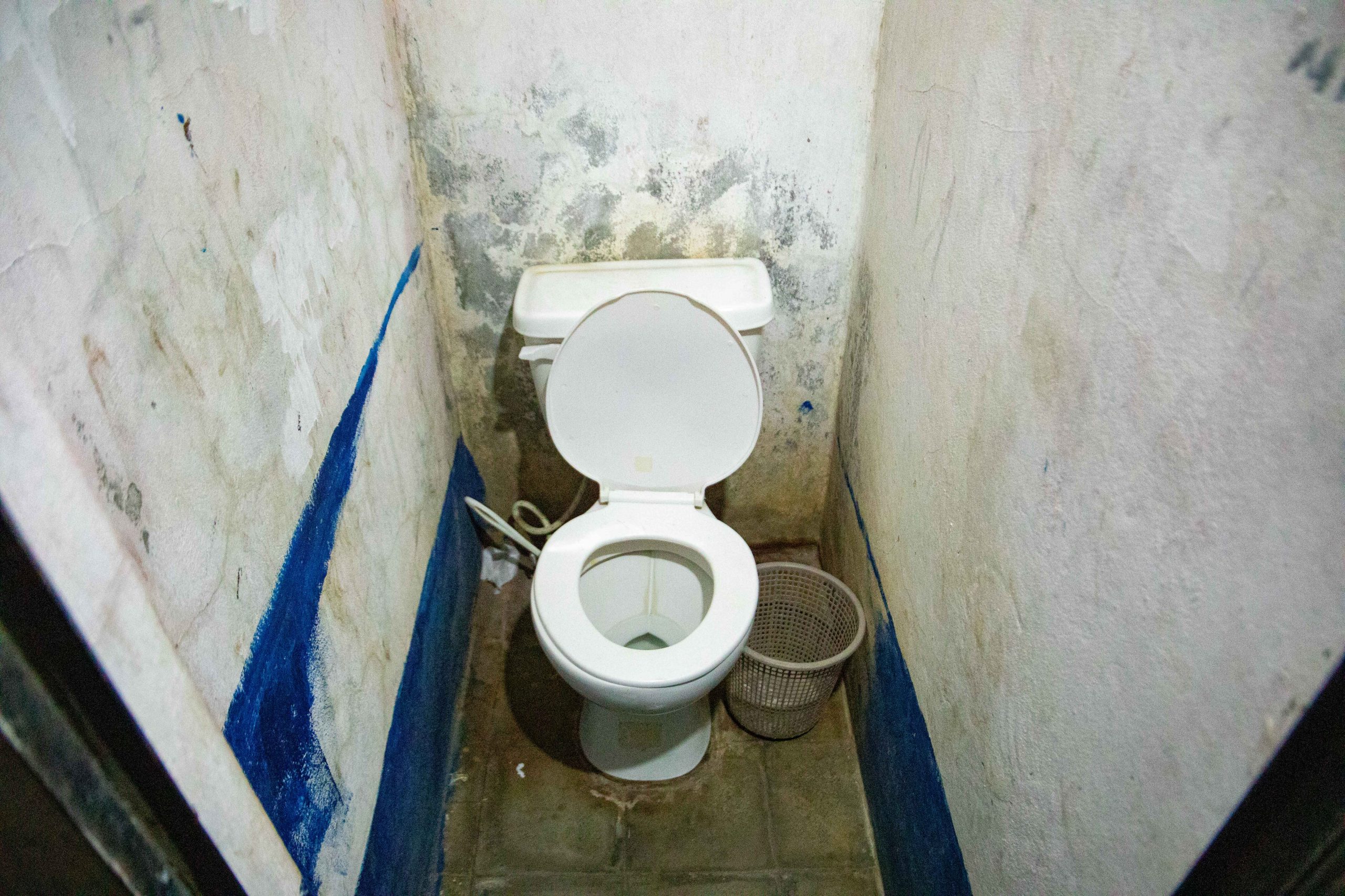 Imagen estado anterior