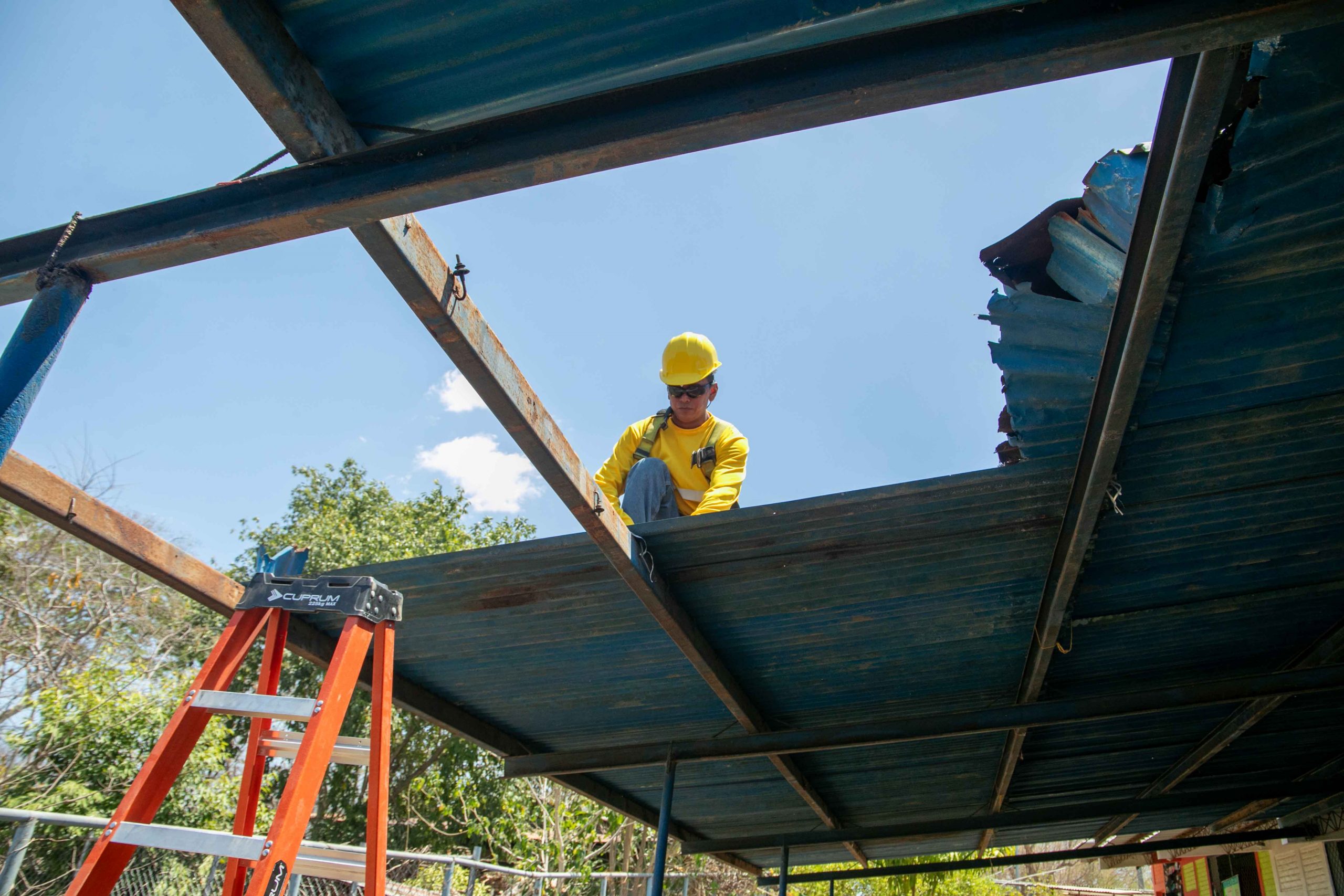 Imagen de la galería