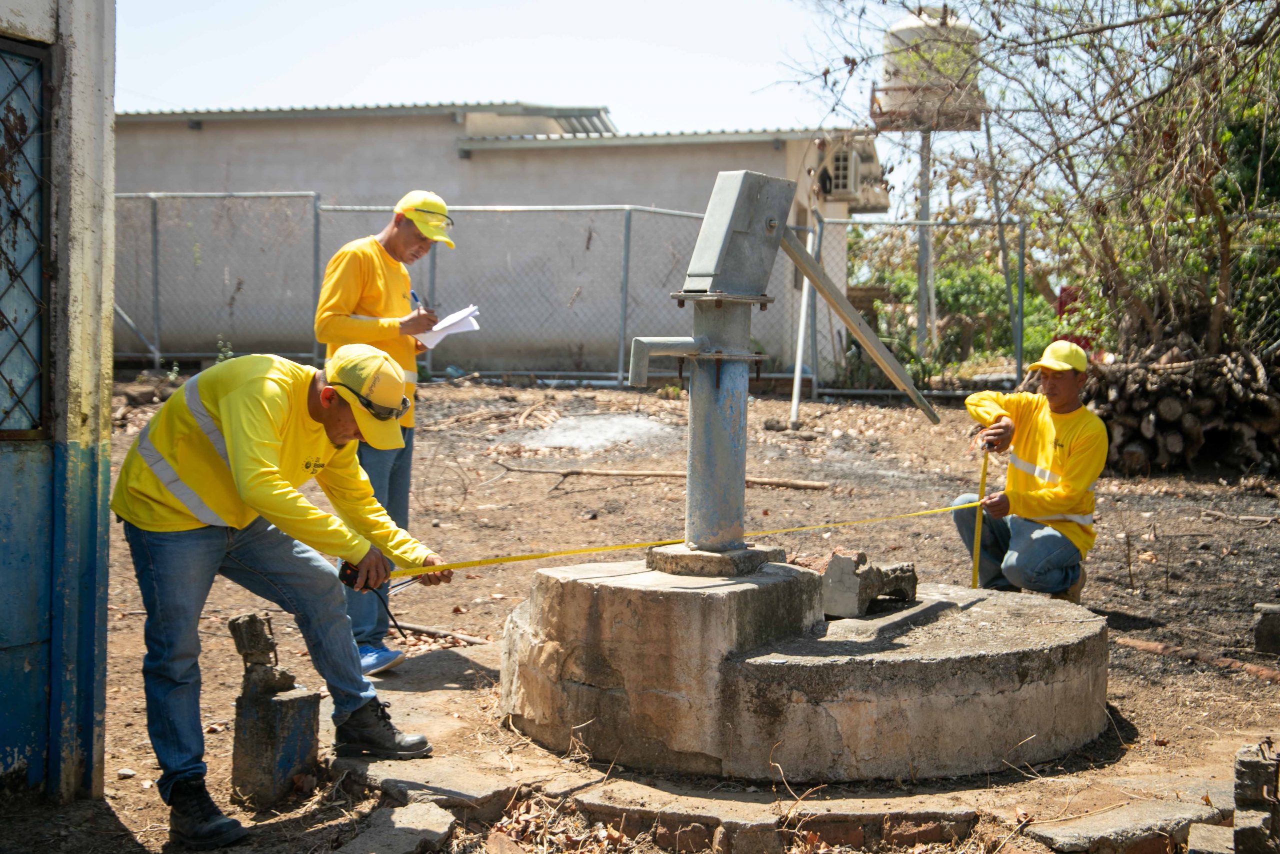 Imagen de la galería