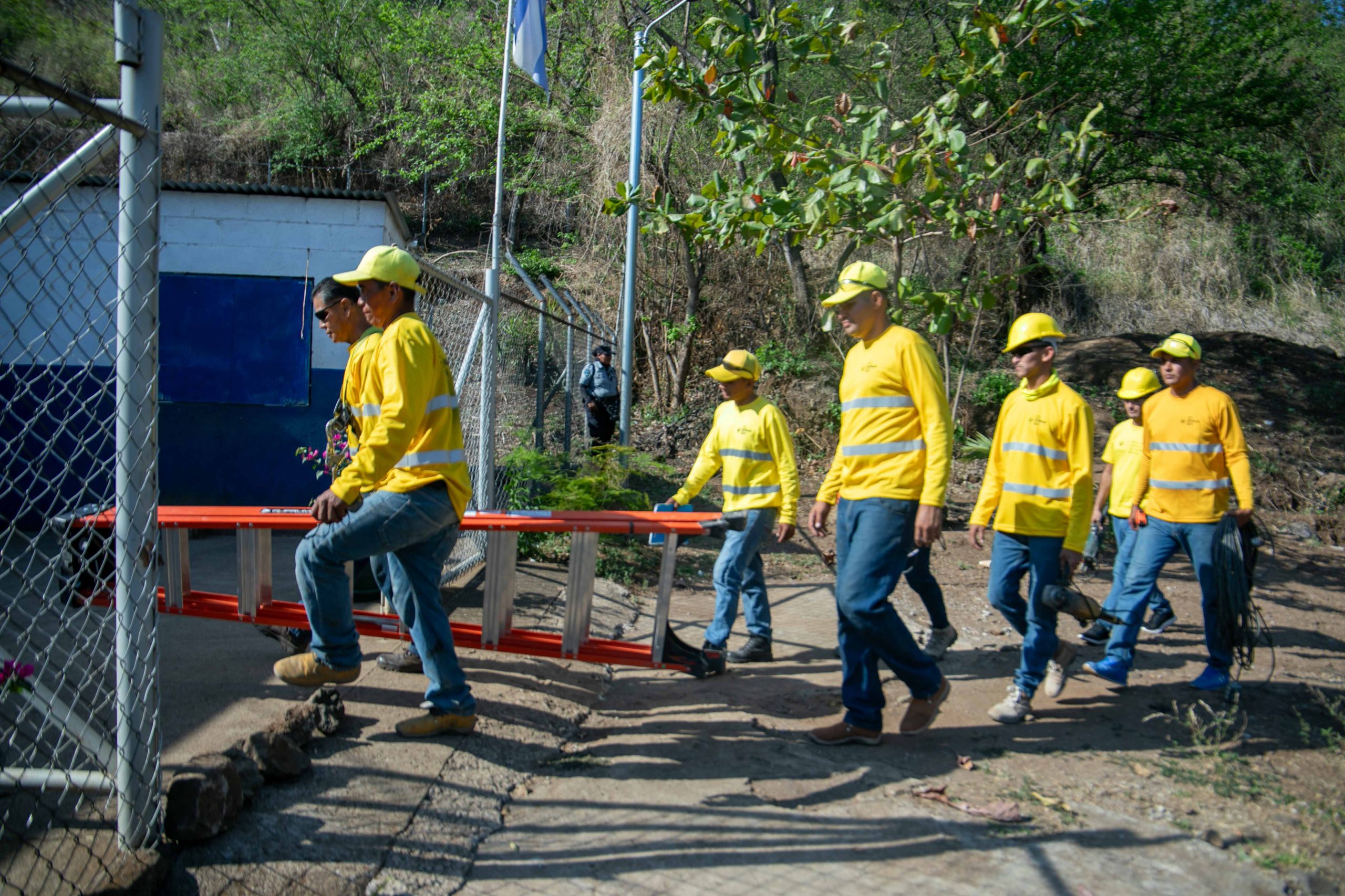 Imagen de la galería