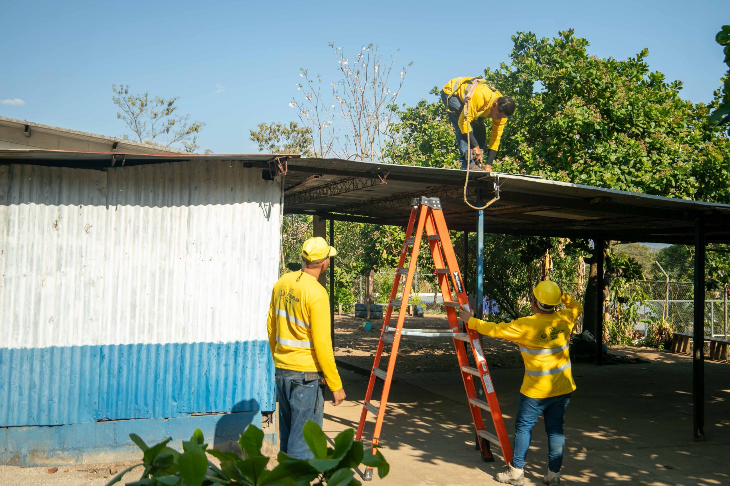 Imagen de la galería