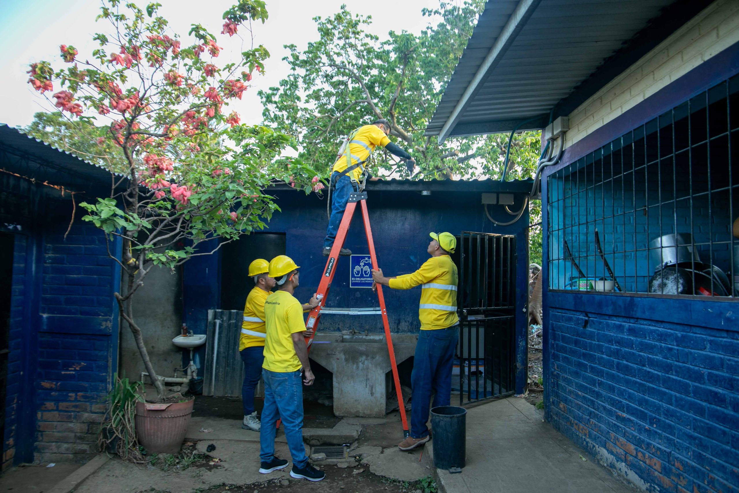 Imagen de la galería