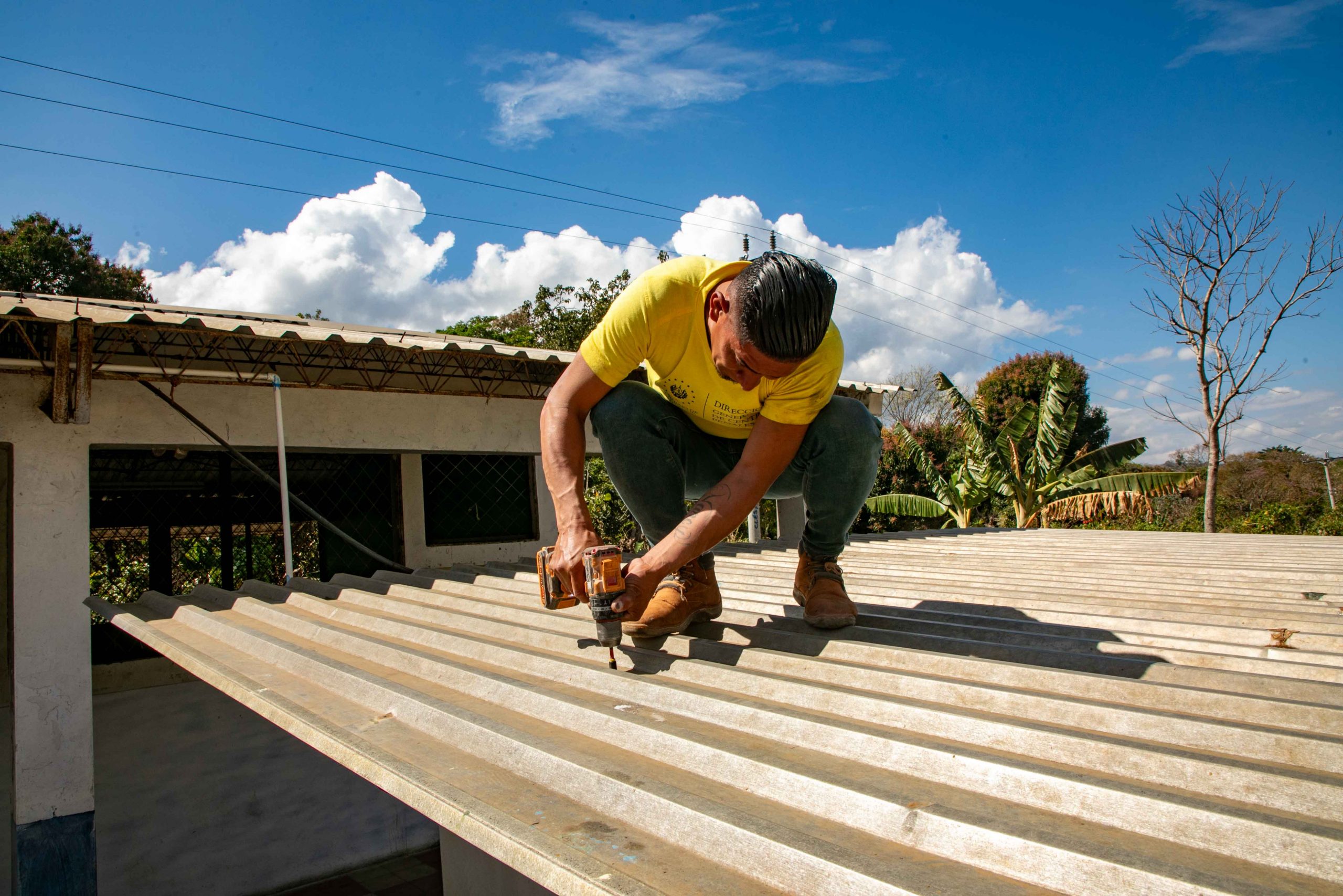 Imagen de la galería