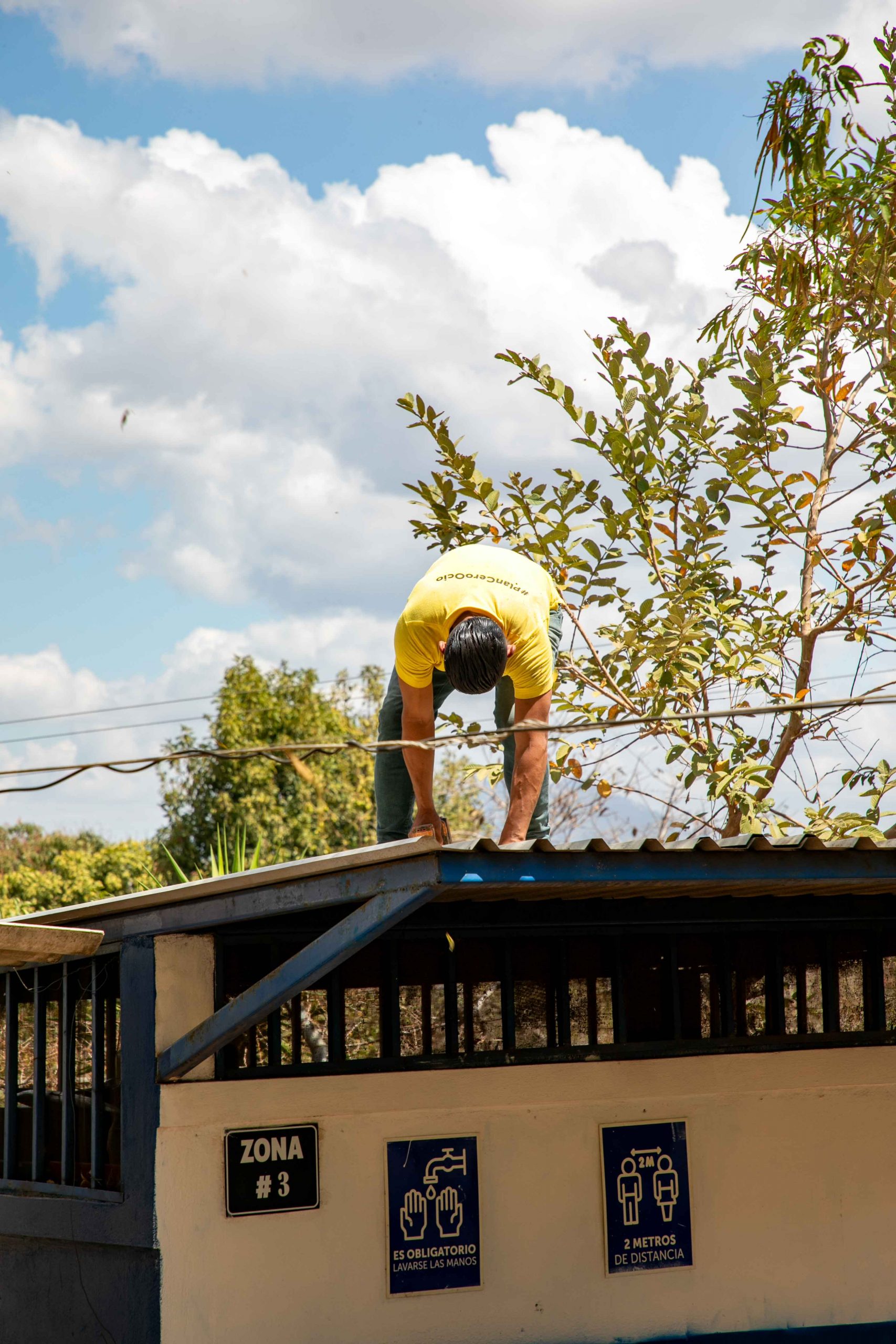 Imagen de la galería