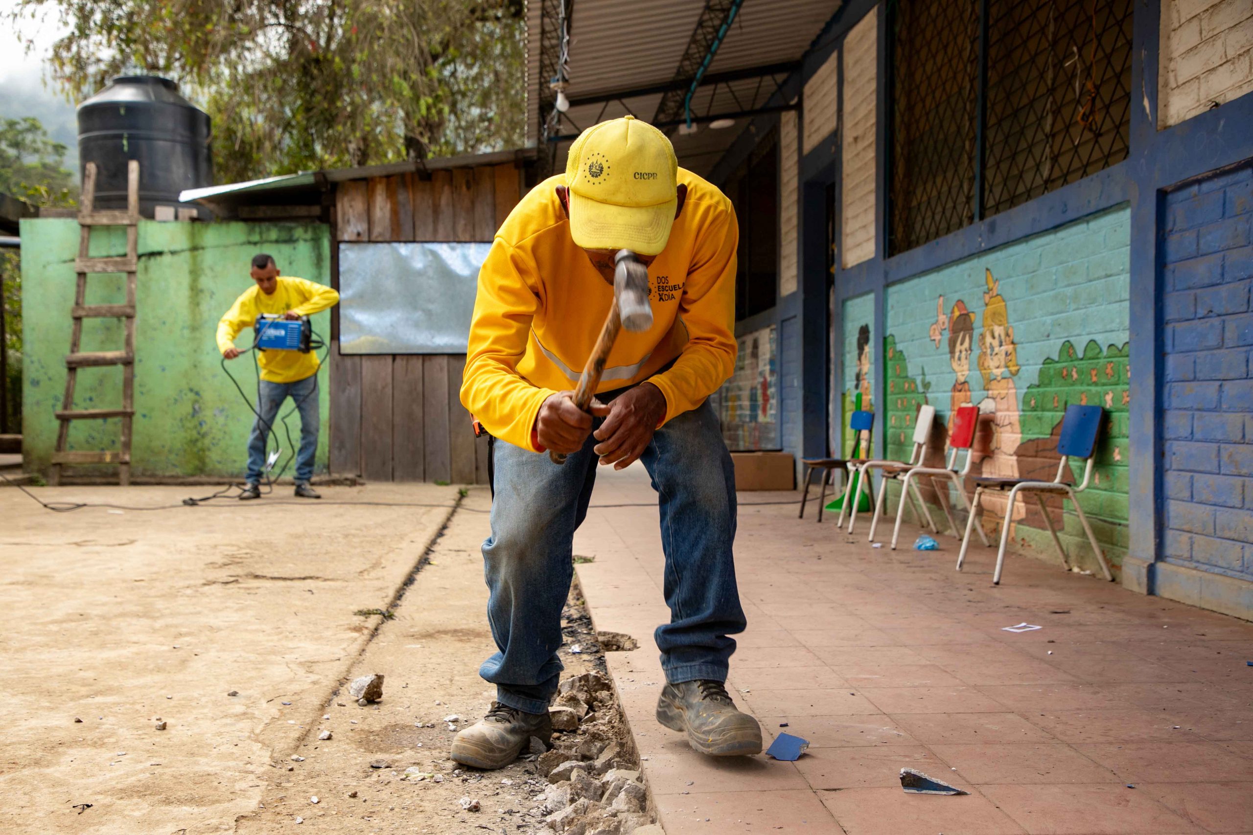 Imagen de la galería