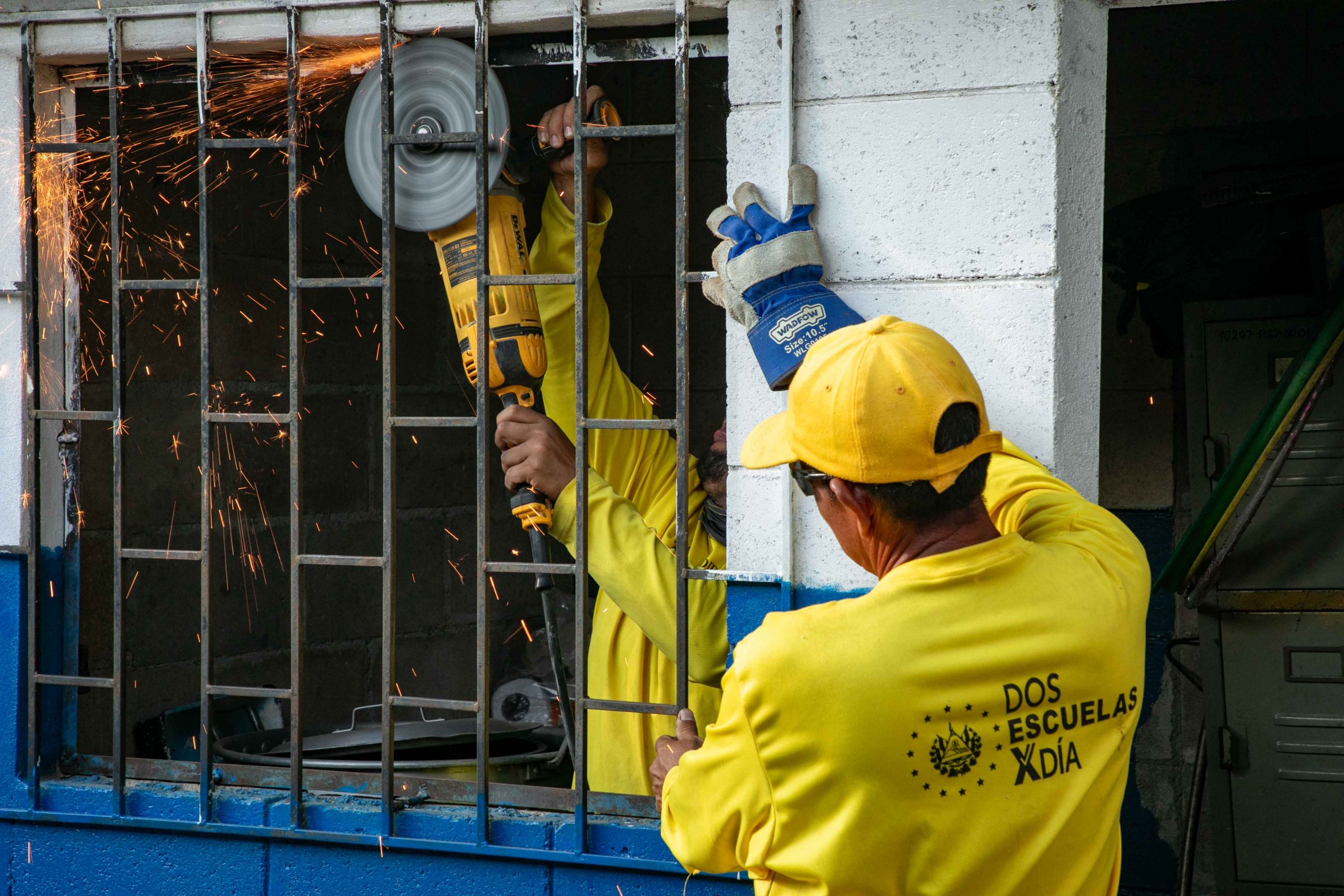 Imagen de la galería