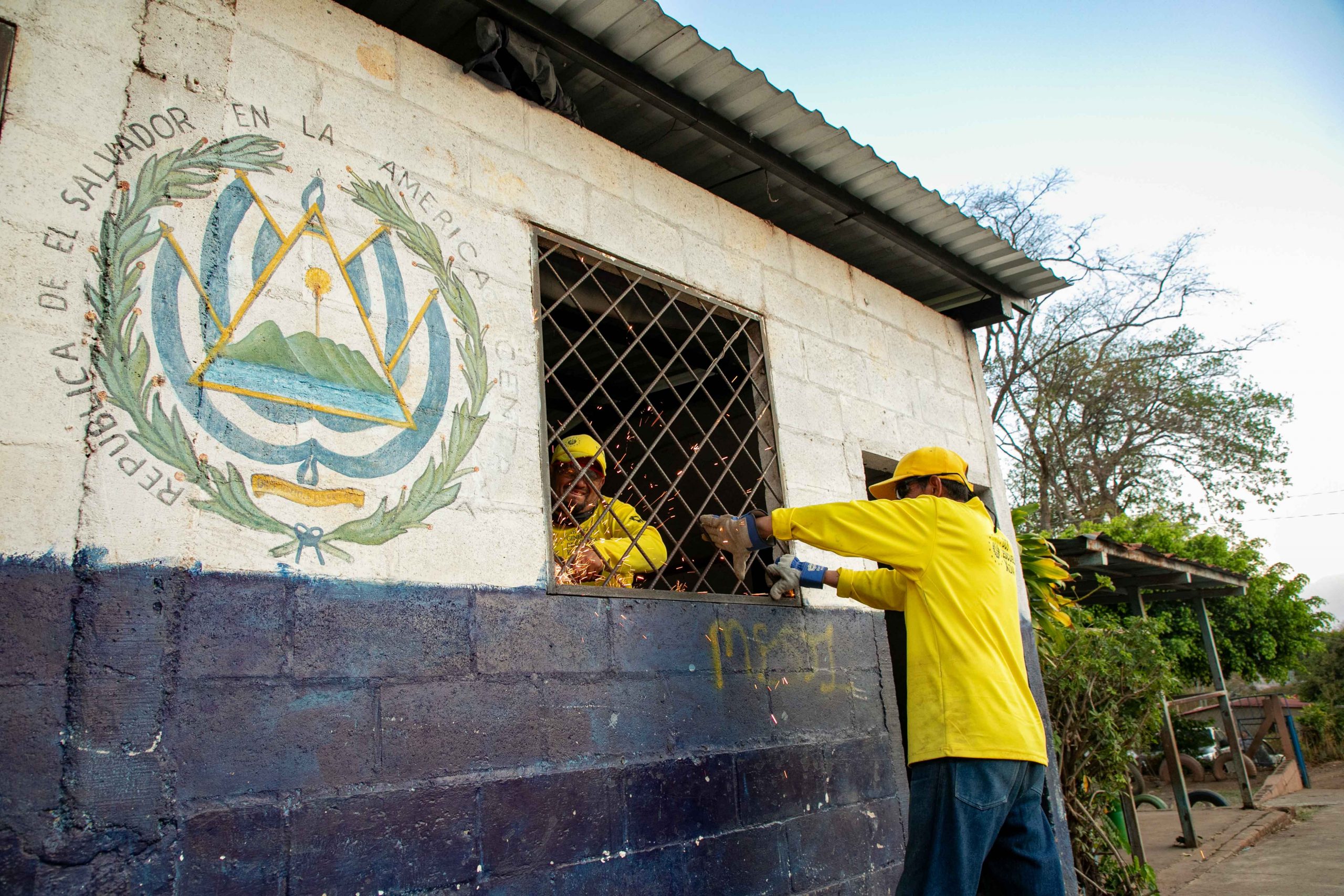 Imagen de la galería