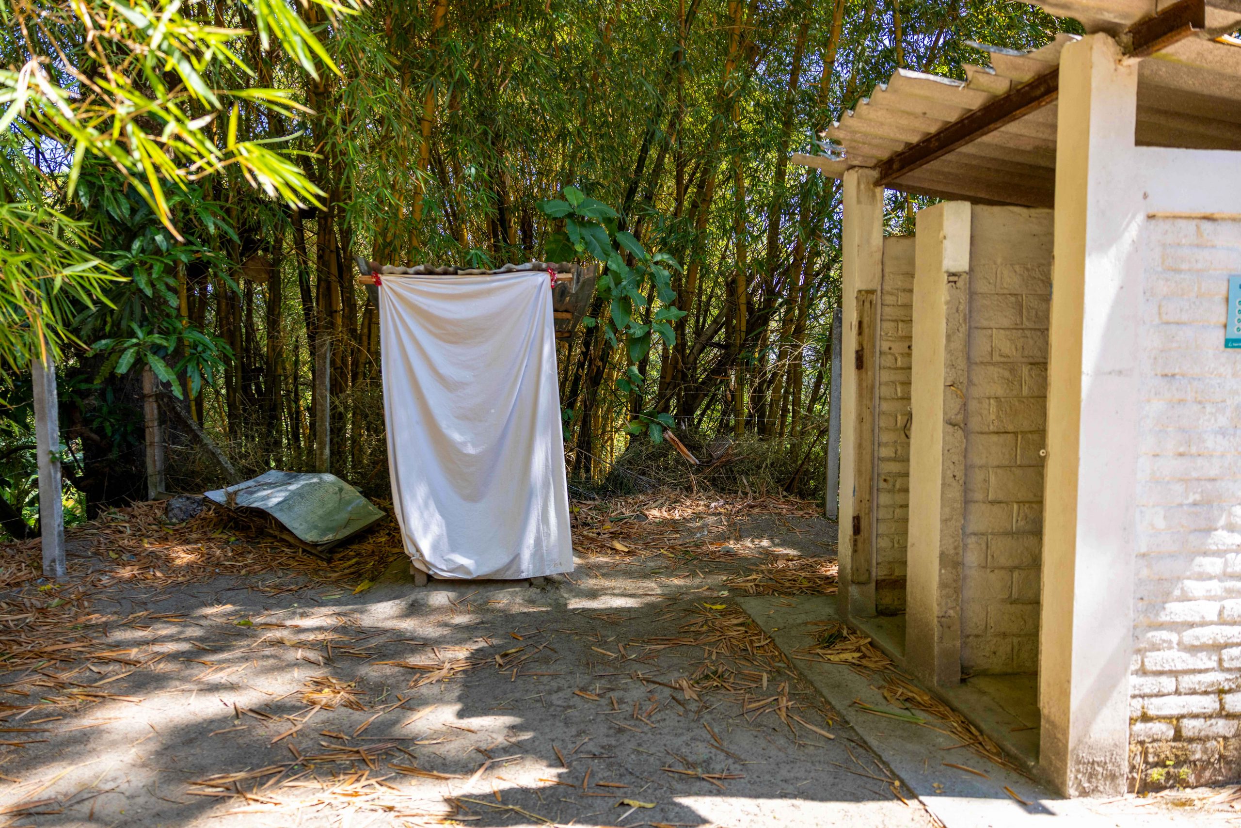 Imagen estado anterior