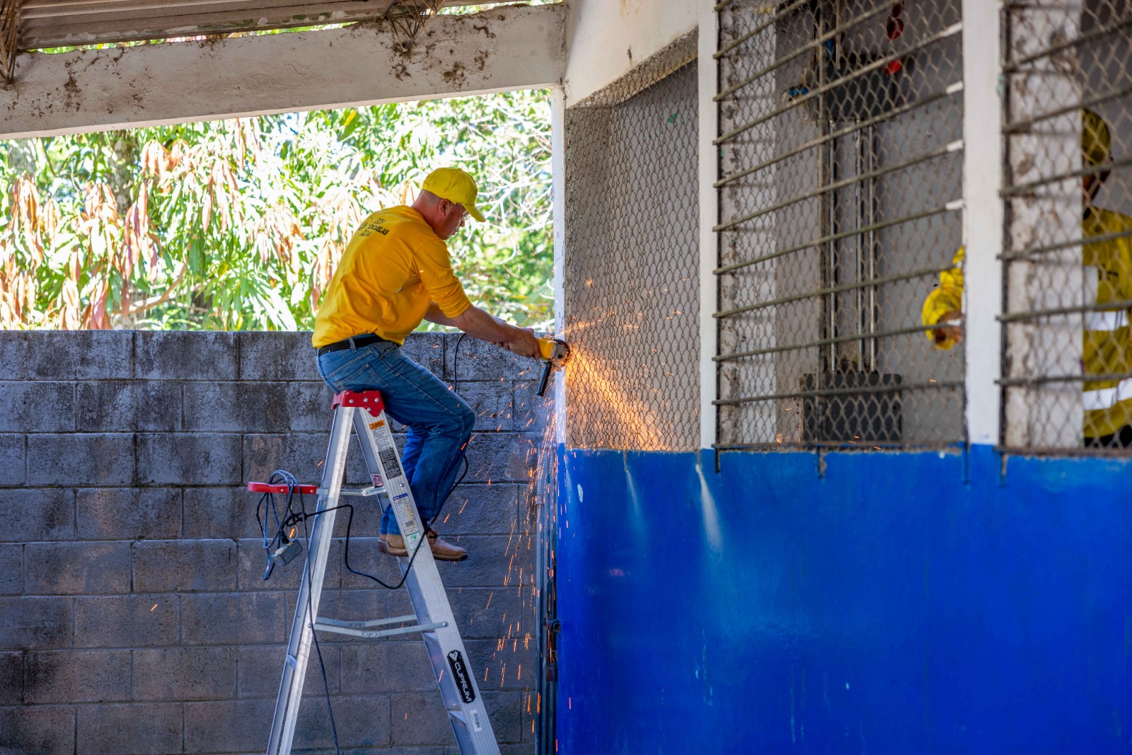 Imagen de la galería