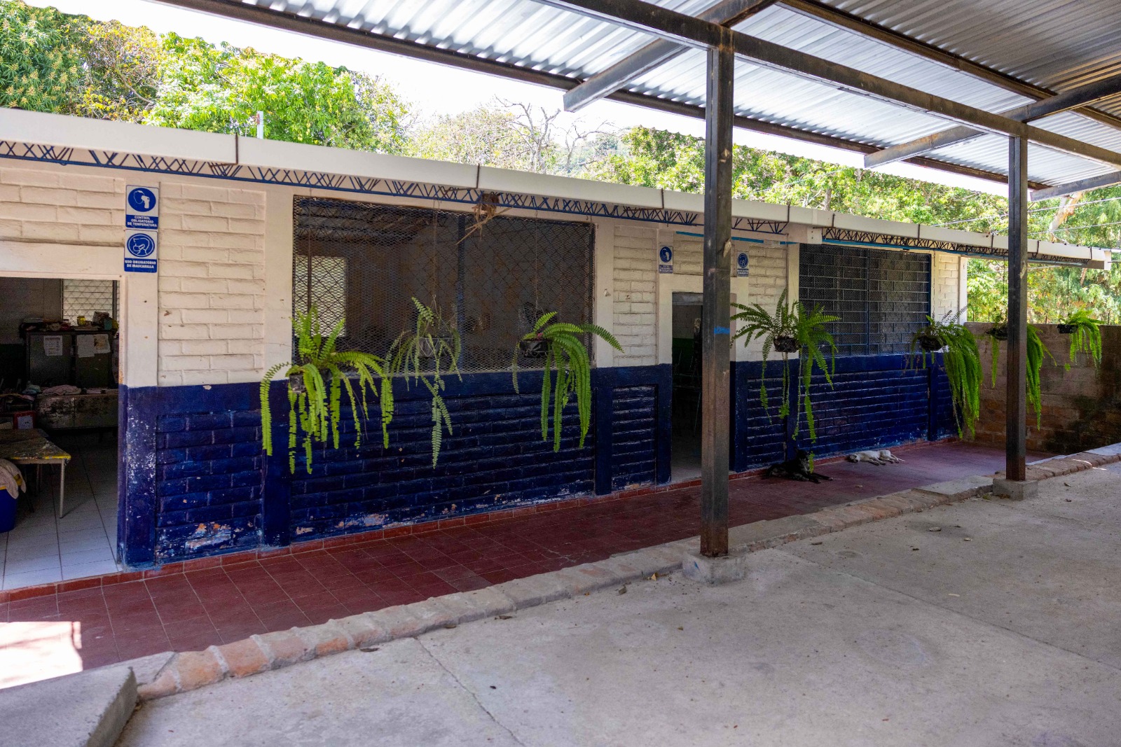 Imagen estado anterior