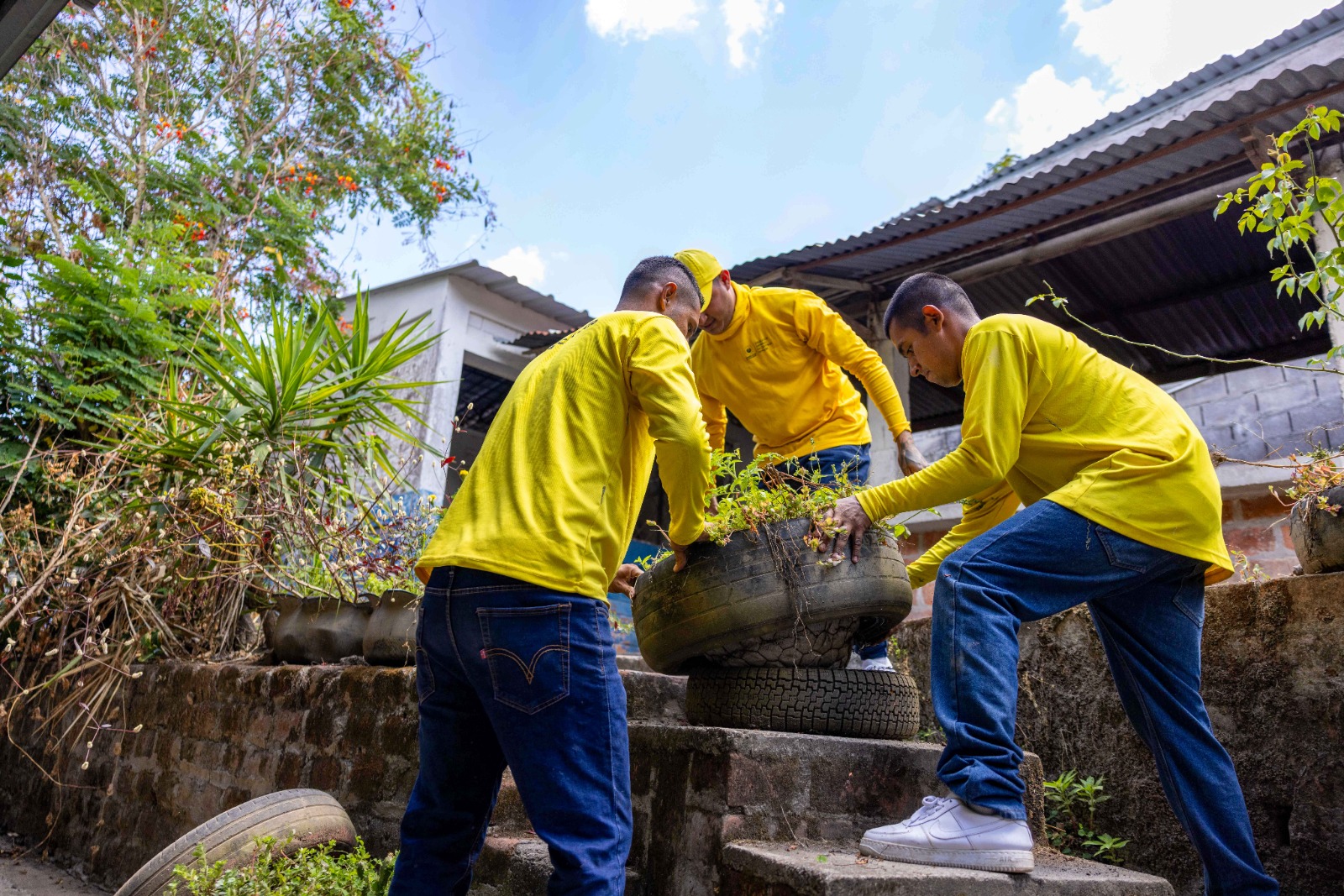 Imagen de la galería