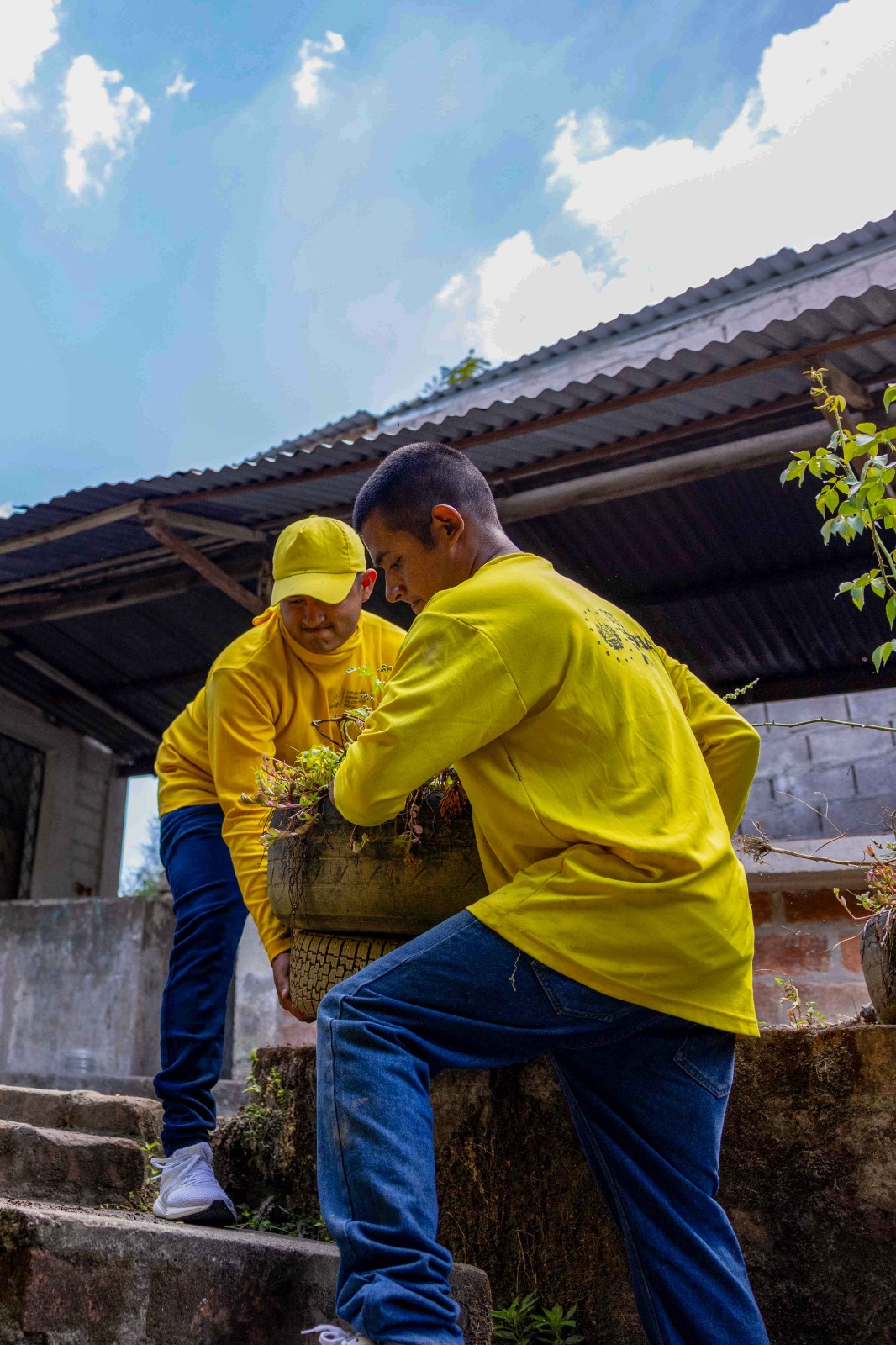 Imagen de la galería