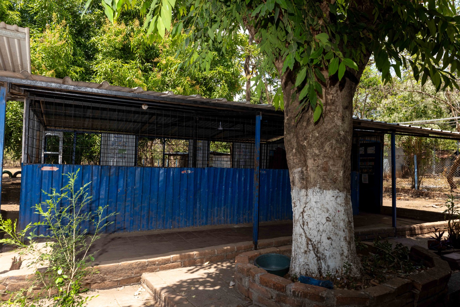 Imagen estado anterior