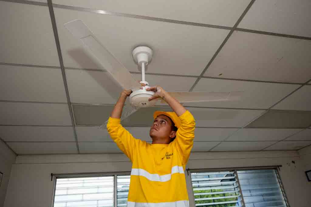 Imagen de la galería