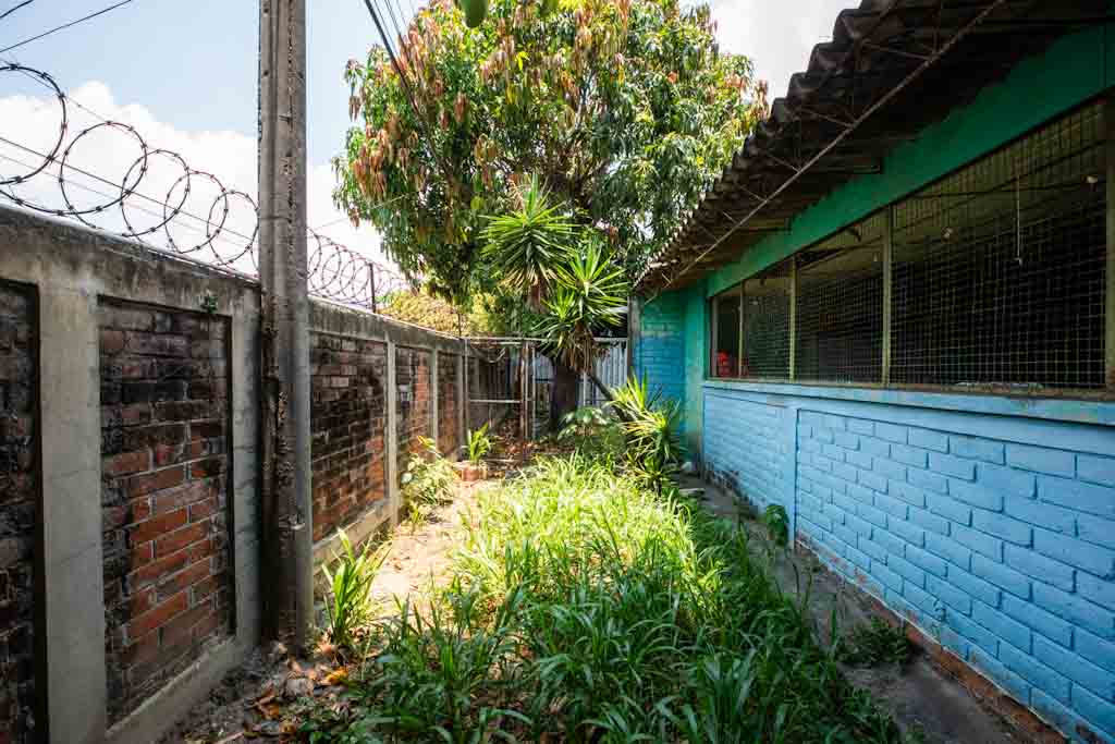 Imagen estado anterior