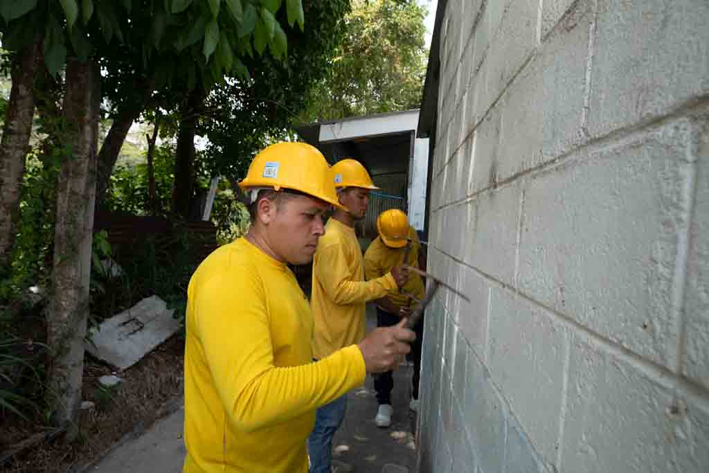 Imagen de la galería