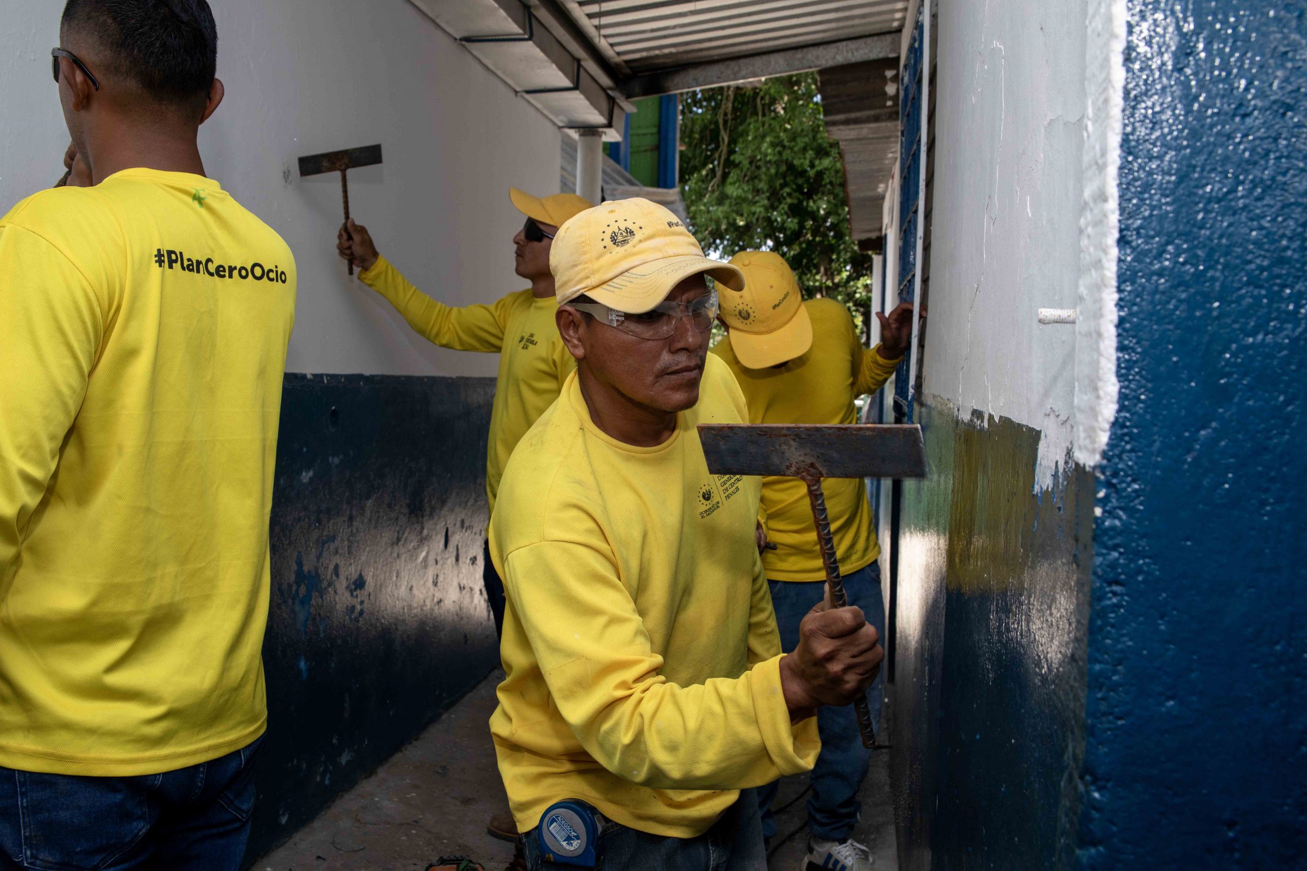 Imagen de la galería